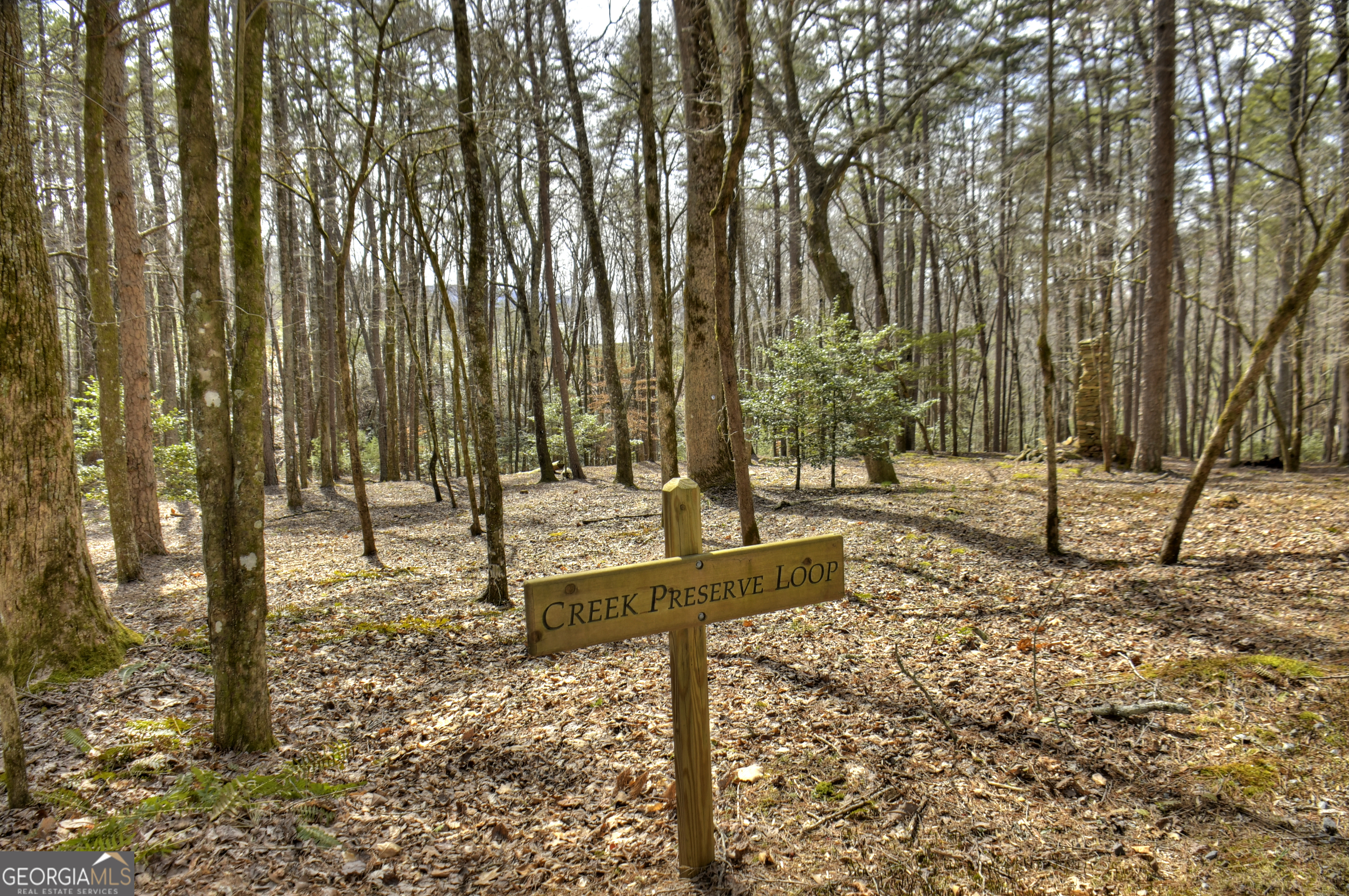 0 Creek Camp Road Ellijay GA 30536