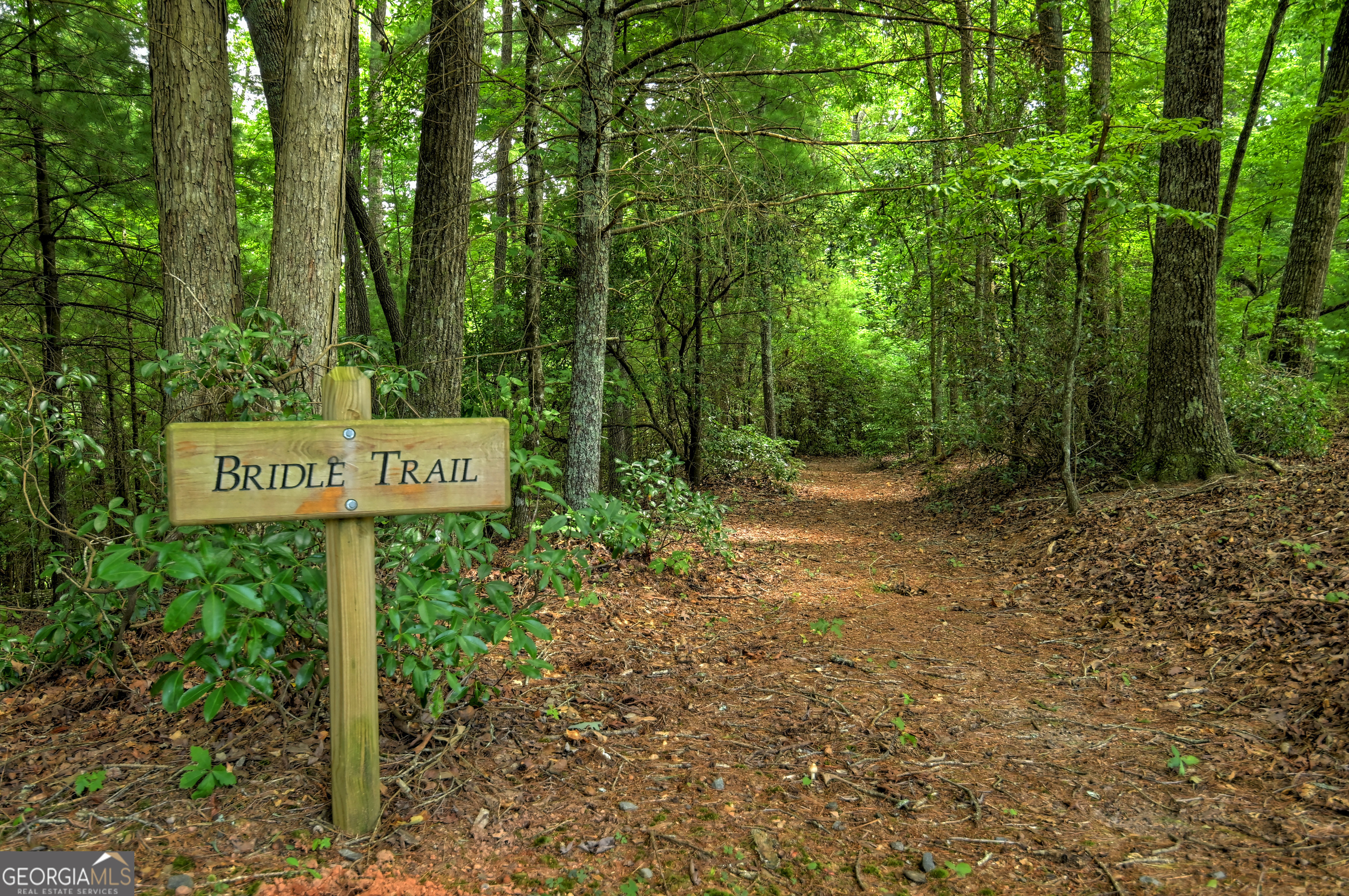 0 Creek Camp Road Ellijay GA 30536