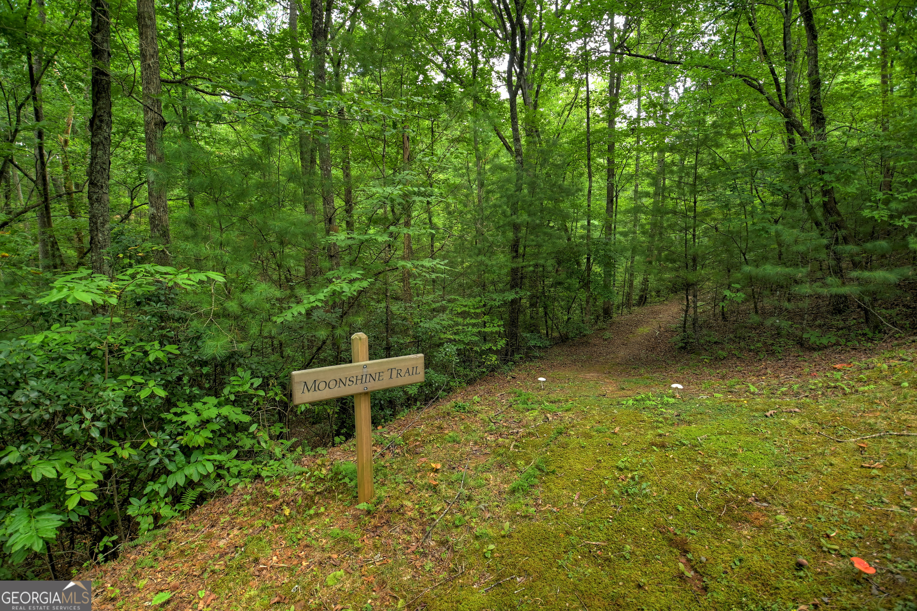 0 Creek Camp Road Ellijay GA 30536