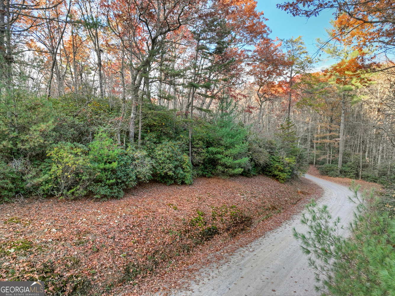 0 Creek Camp Road Ellijay GA 30536
