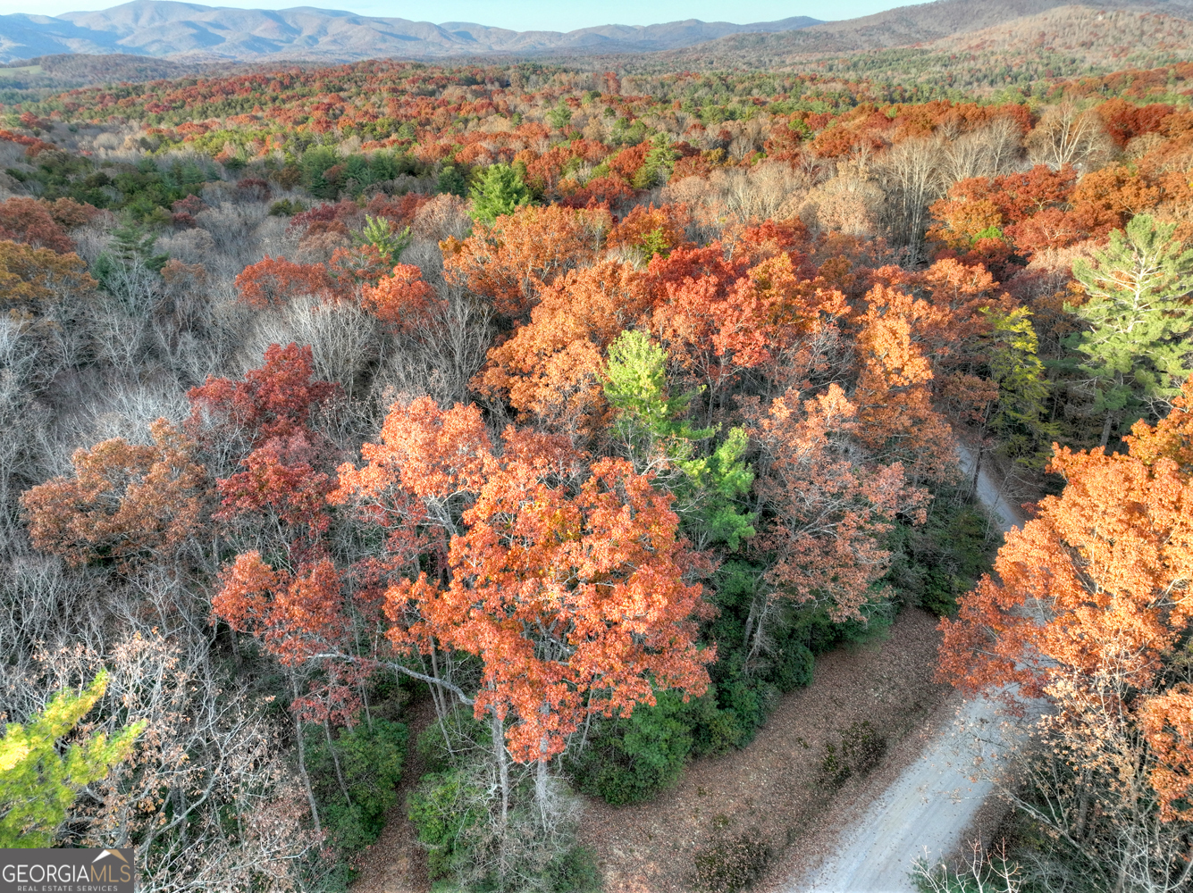 0 Creek Camp Road Ellijay GA 30536