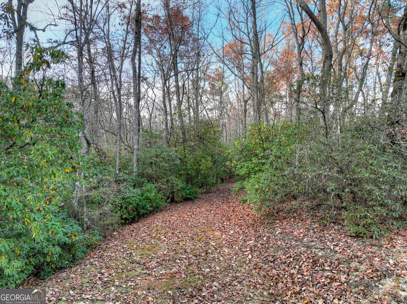 0 Creek Camp Road Ellijay GA 30536