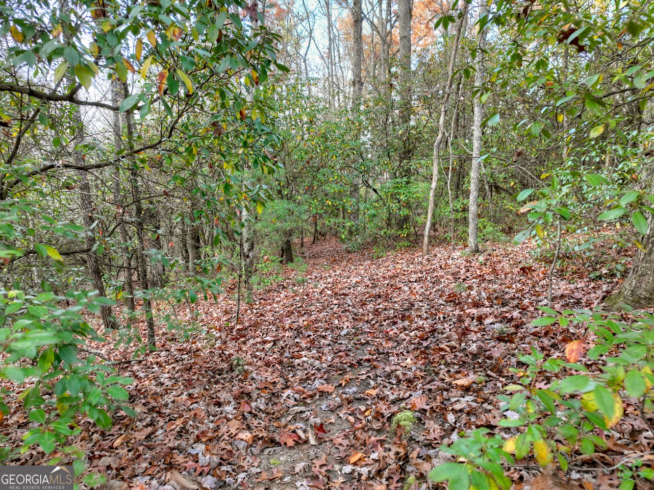 0 Creek Camp Road Ellijay GA 30536