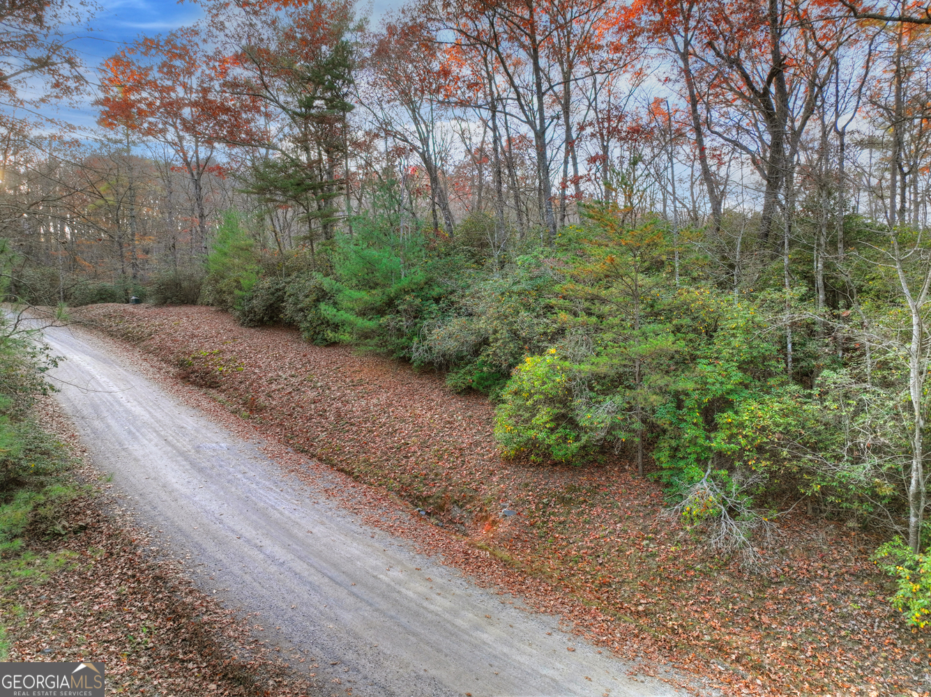 0 Creek Camp Road Ellijay GA 30536