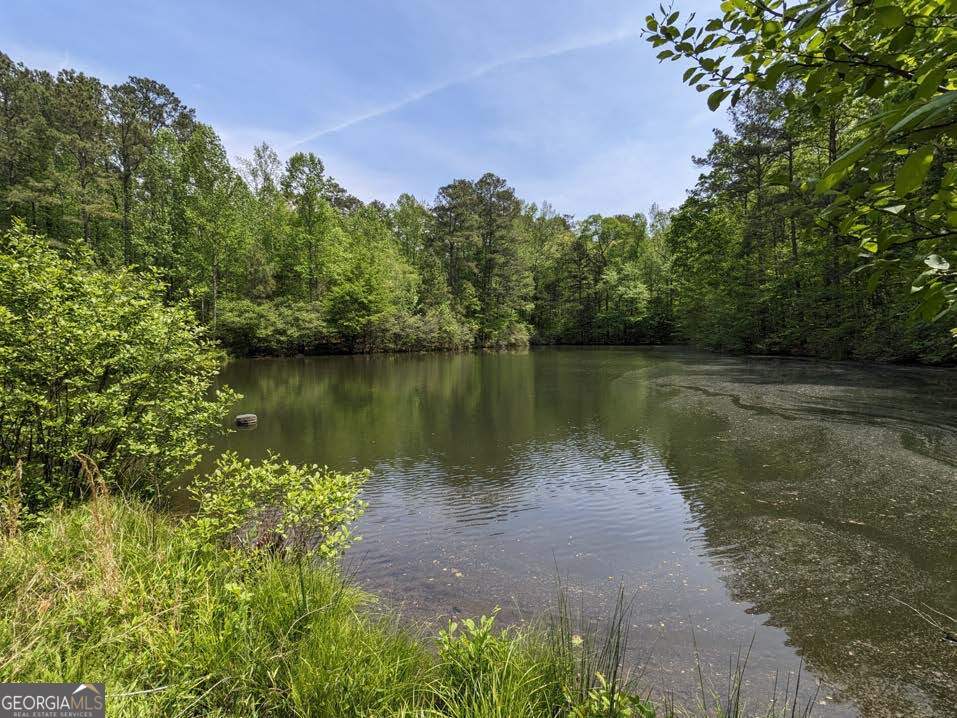 13340 New Providence Road Milton GA 30004