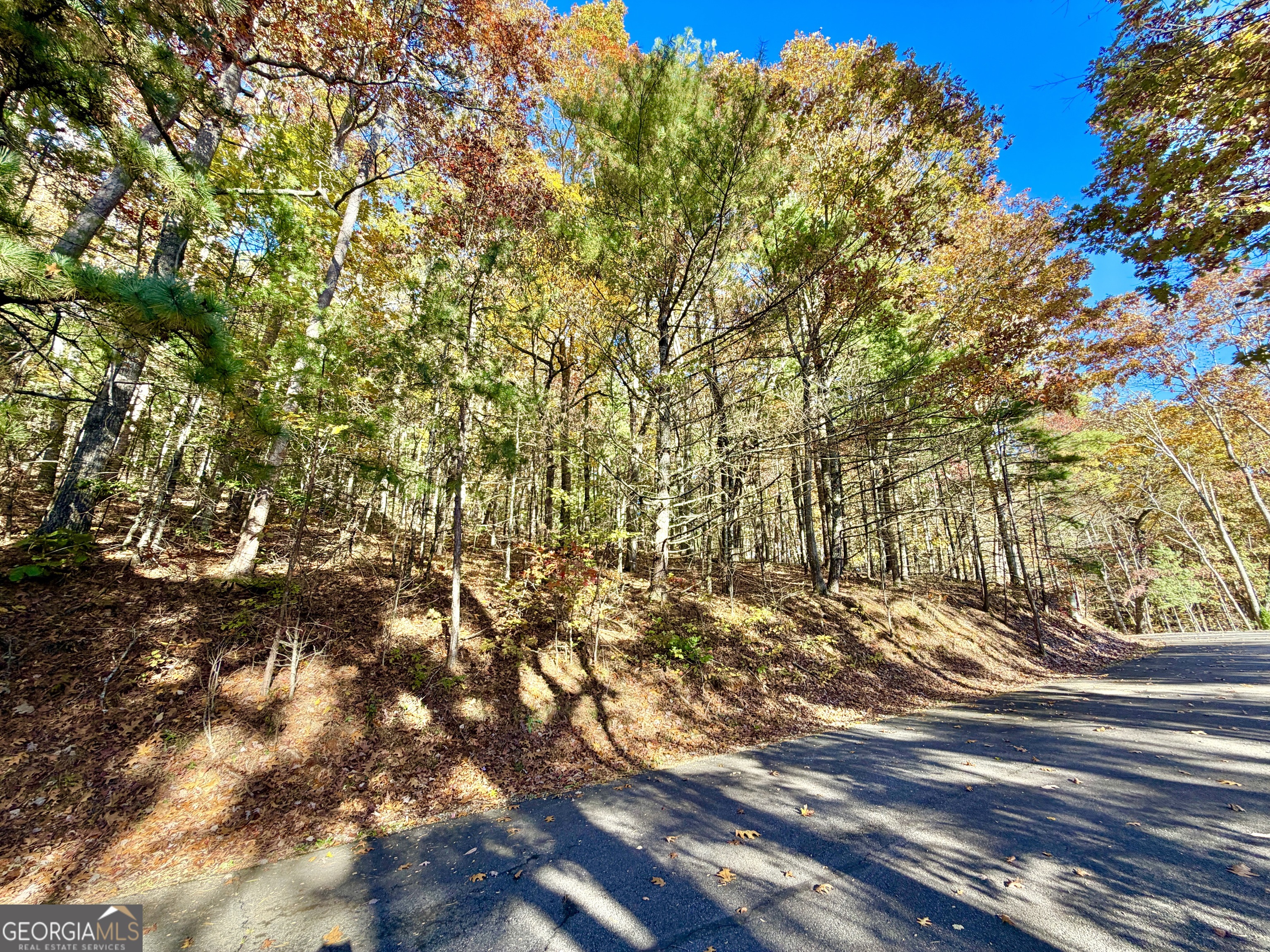0 Crows Nest Drive Clayton GA 30525