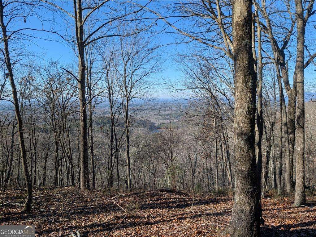 234 Stirratt Road Ranger GA 30734