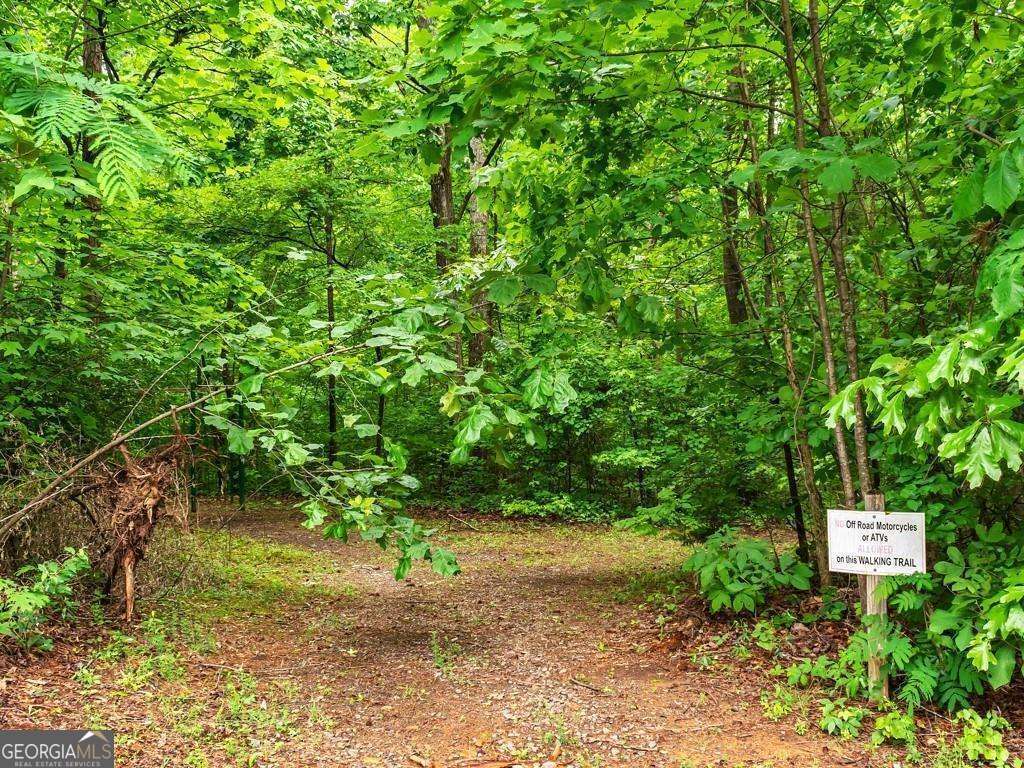 234 Stirratt Road Ranger GA 30734
