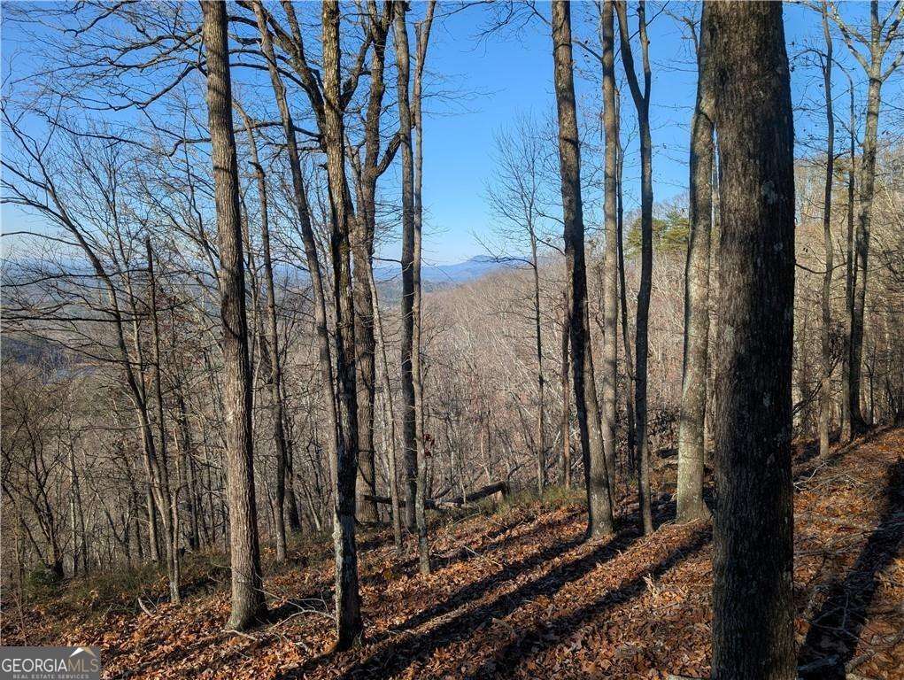 234 Stirratt Road Ranger GA 30734