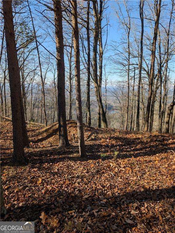 234 Stirratt Road Ranger GA 30734