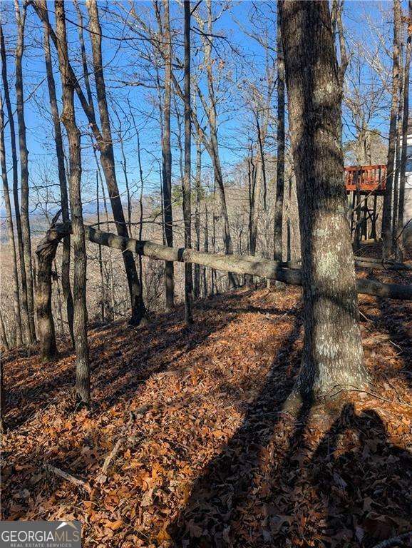 234 Stirratt Road Ranger GA 30734