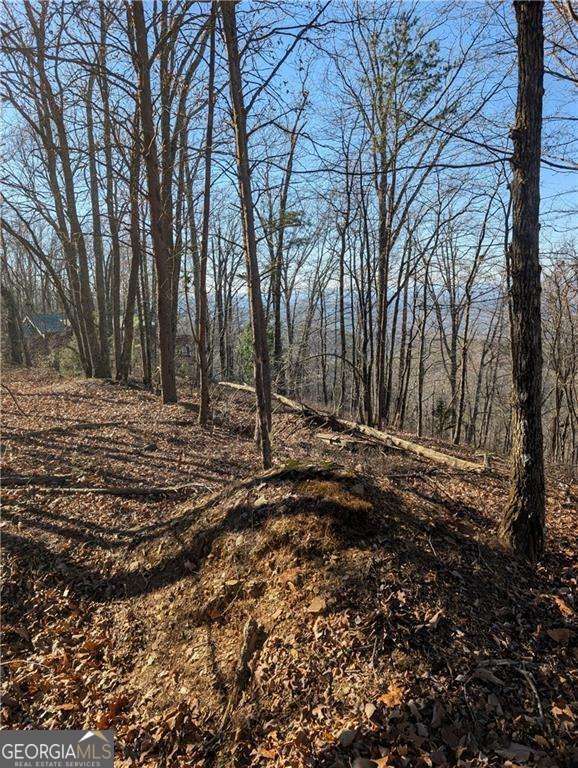 234 Stirratt Road Ranger GA 30734