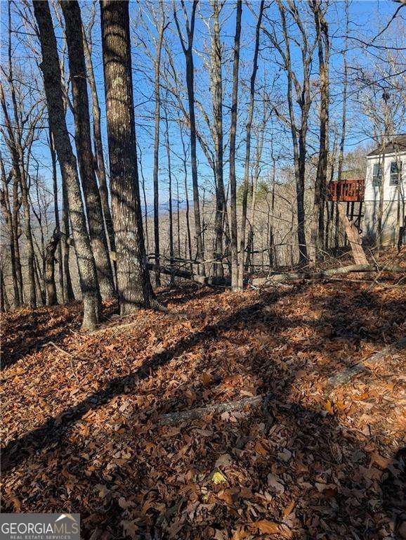 234 Stirratt Road Ranger GA 30734