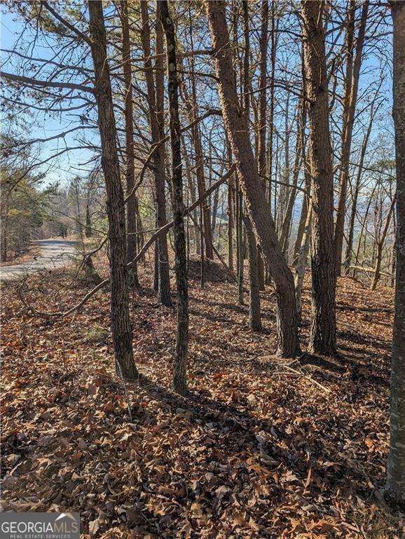 234 Stirratt Road Ranger GA 30734