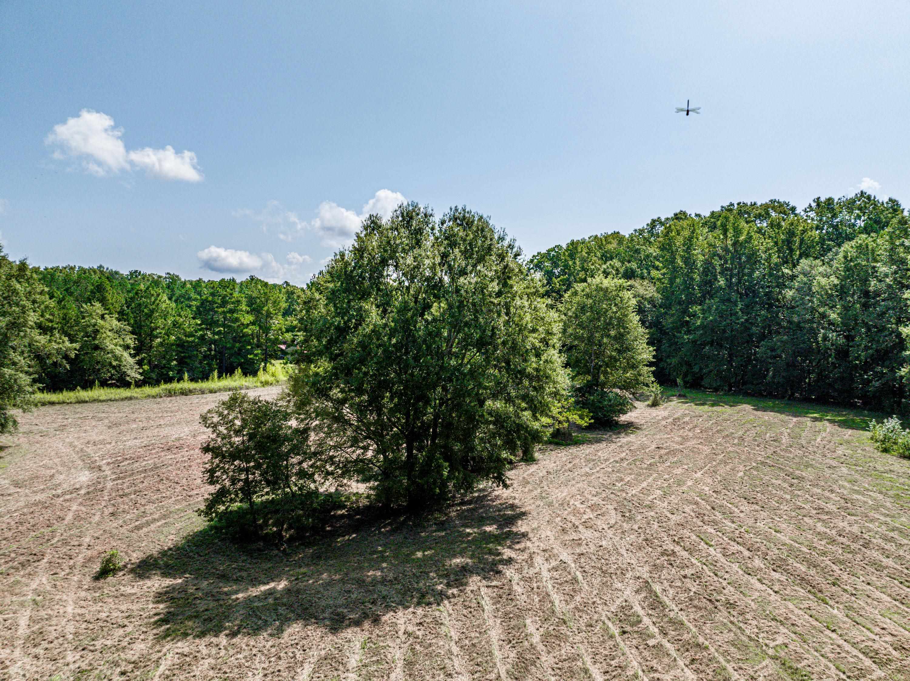 0 Phillips Road Eatonton GA 31024