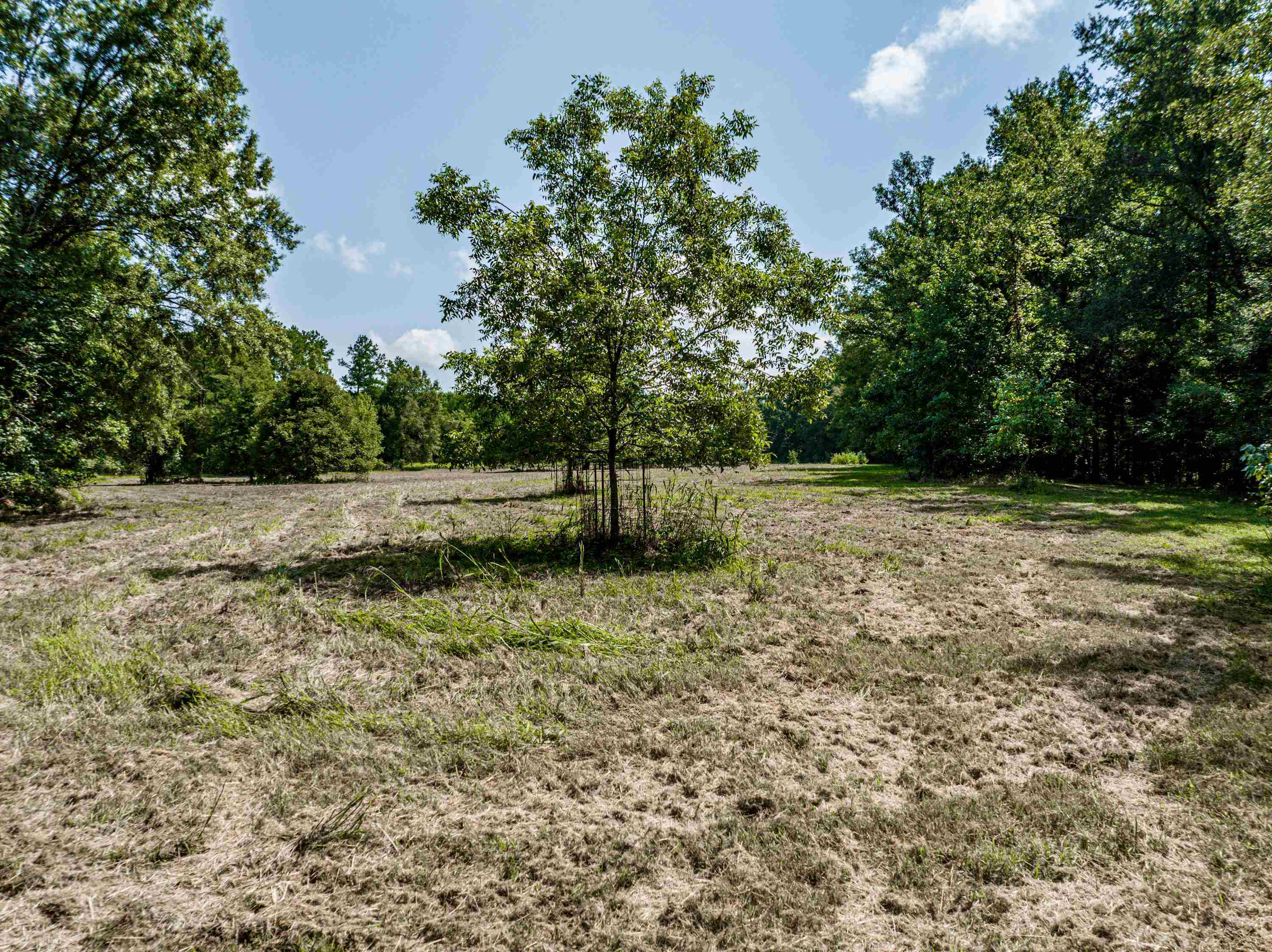0 Phillips Road Eatonton GA 31024