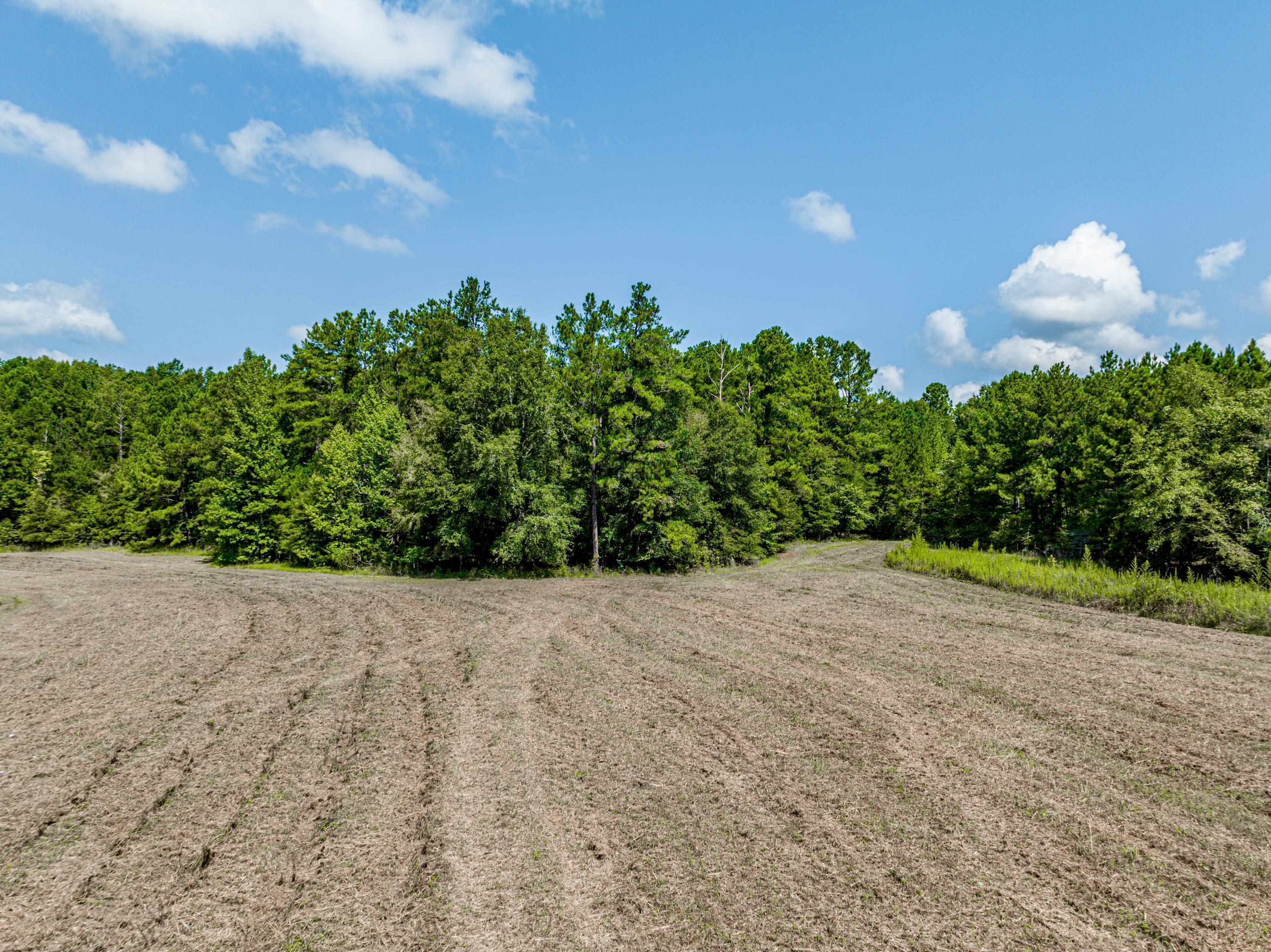 0 Phillips Road Eatonton GA 31024