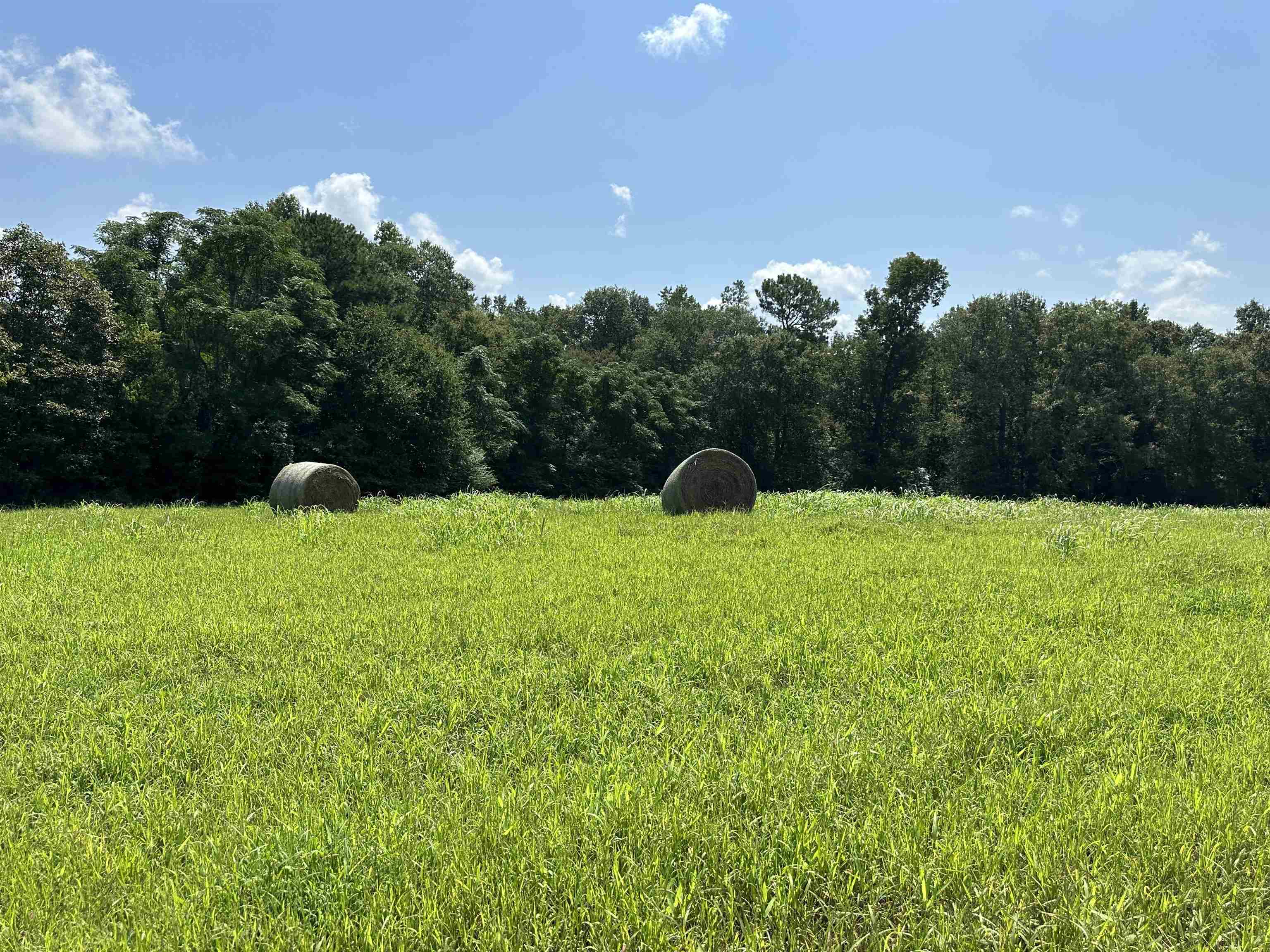 0 Phillips Road Eatonton GA 31024