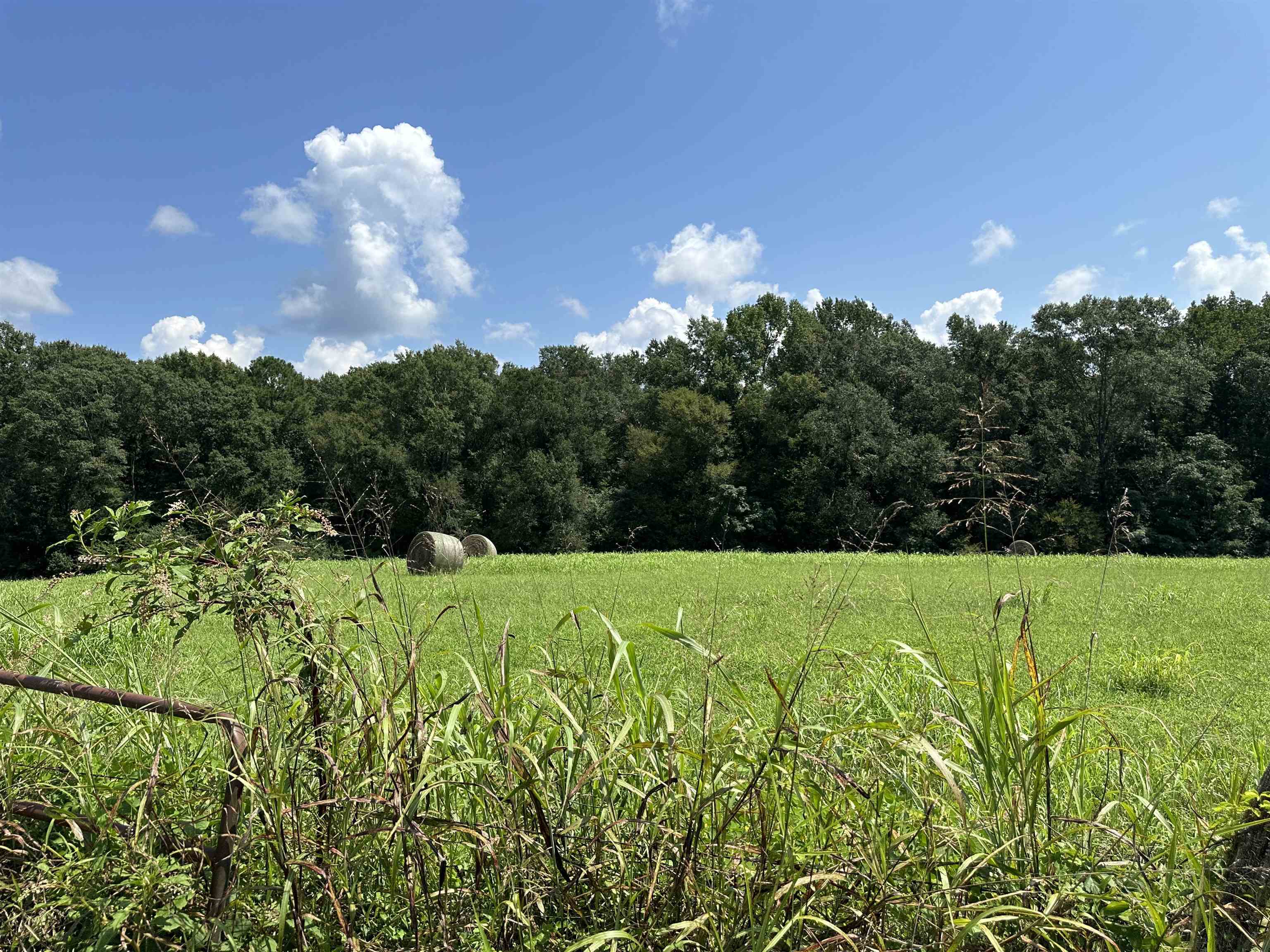 0 Phillips Road Eatonton GA 31024