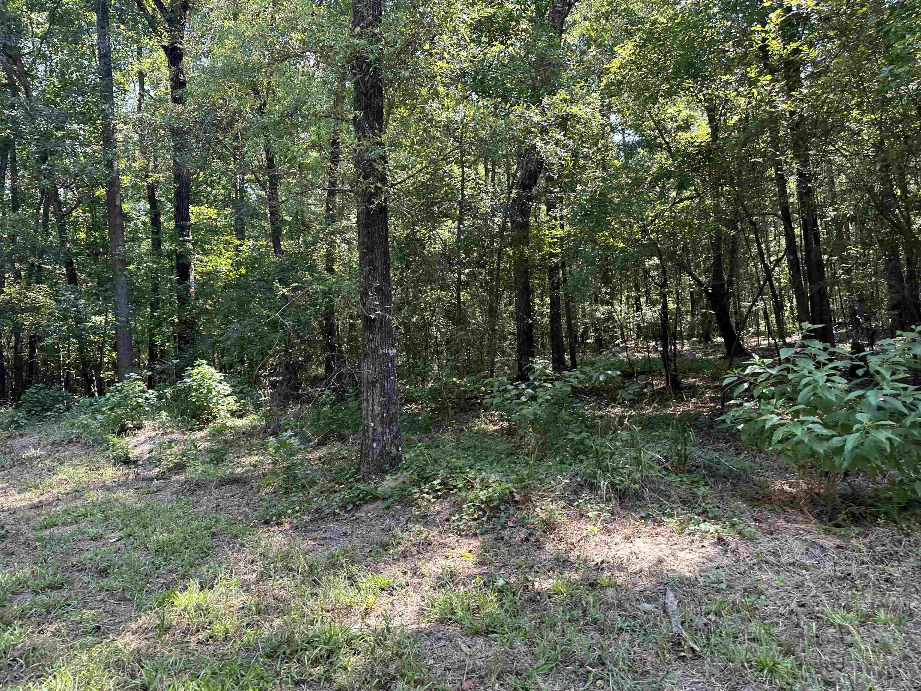 0 Phillips Road Eatonton GA 31024