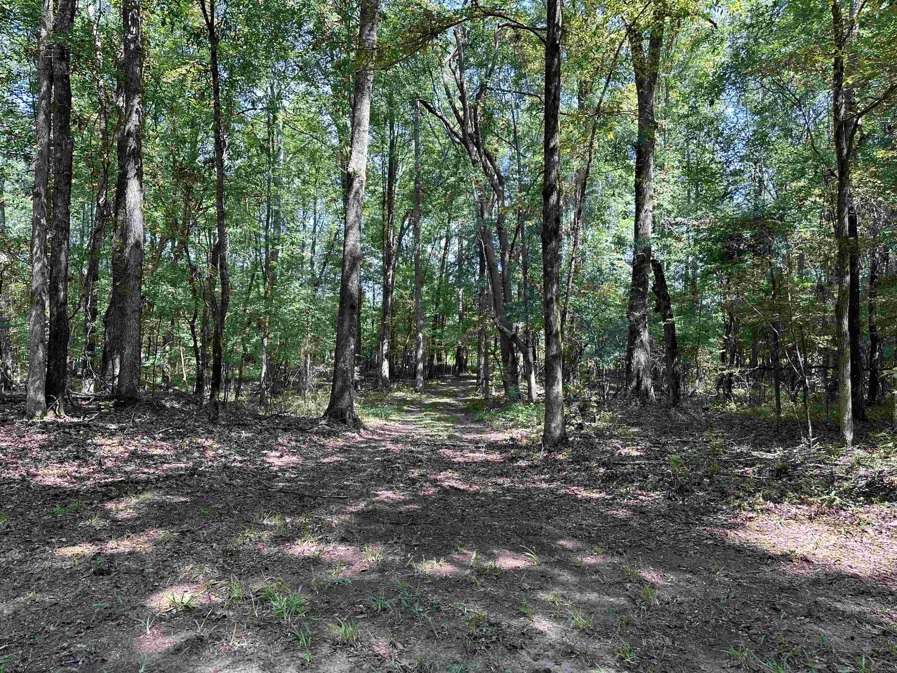 0 Phillips Road Eatonton GA 31024