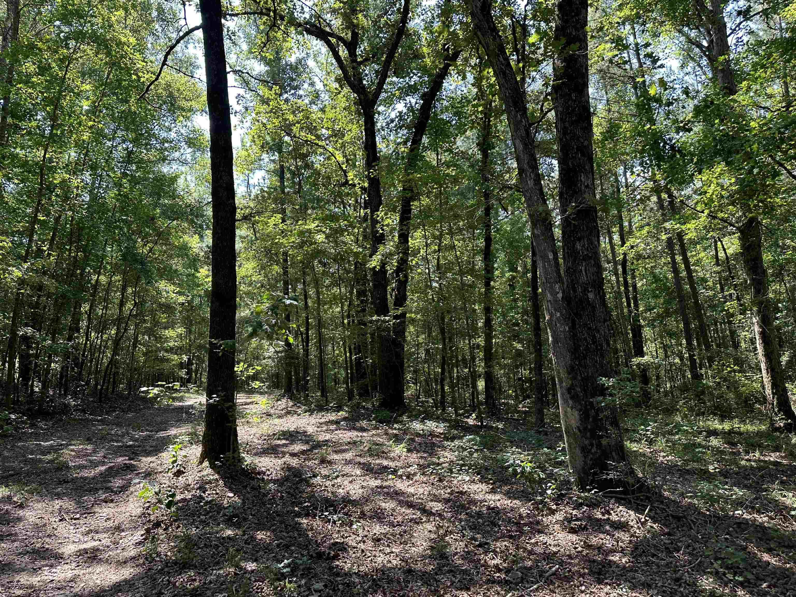 0 Phillips Road Eatonton GA 31024