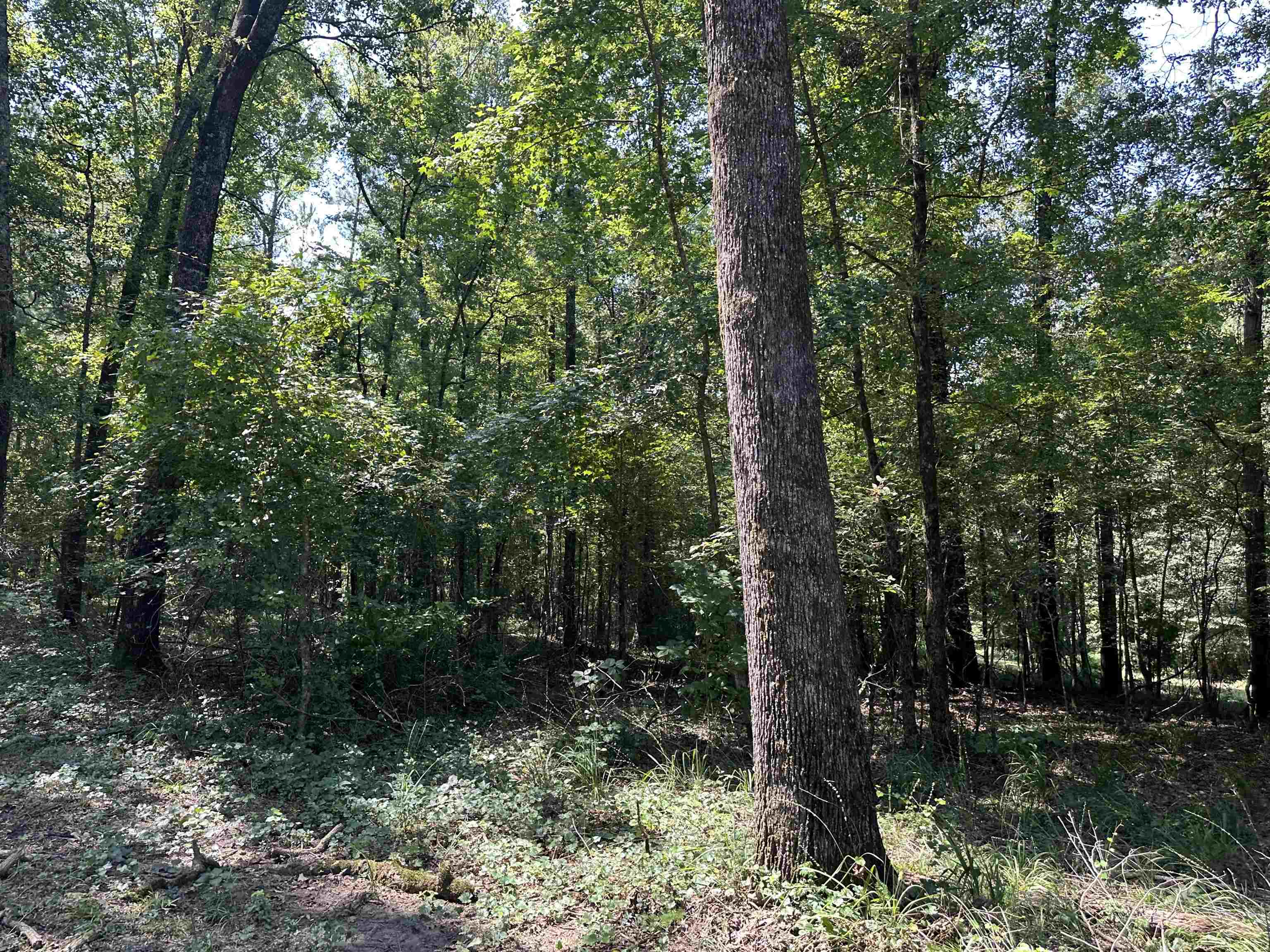 0 Phillips Road Eatonton GA 31024