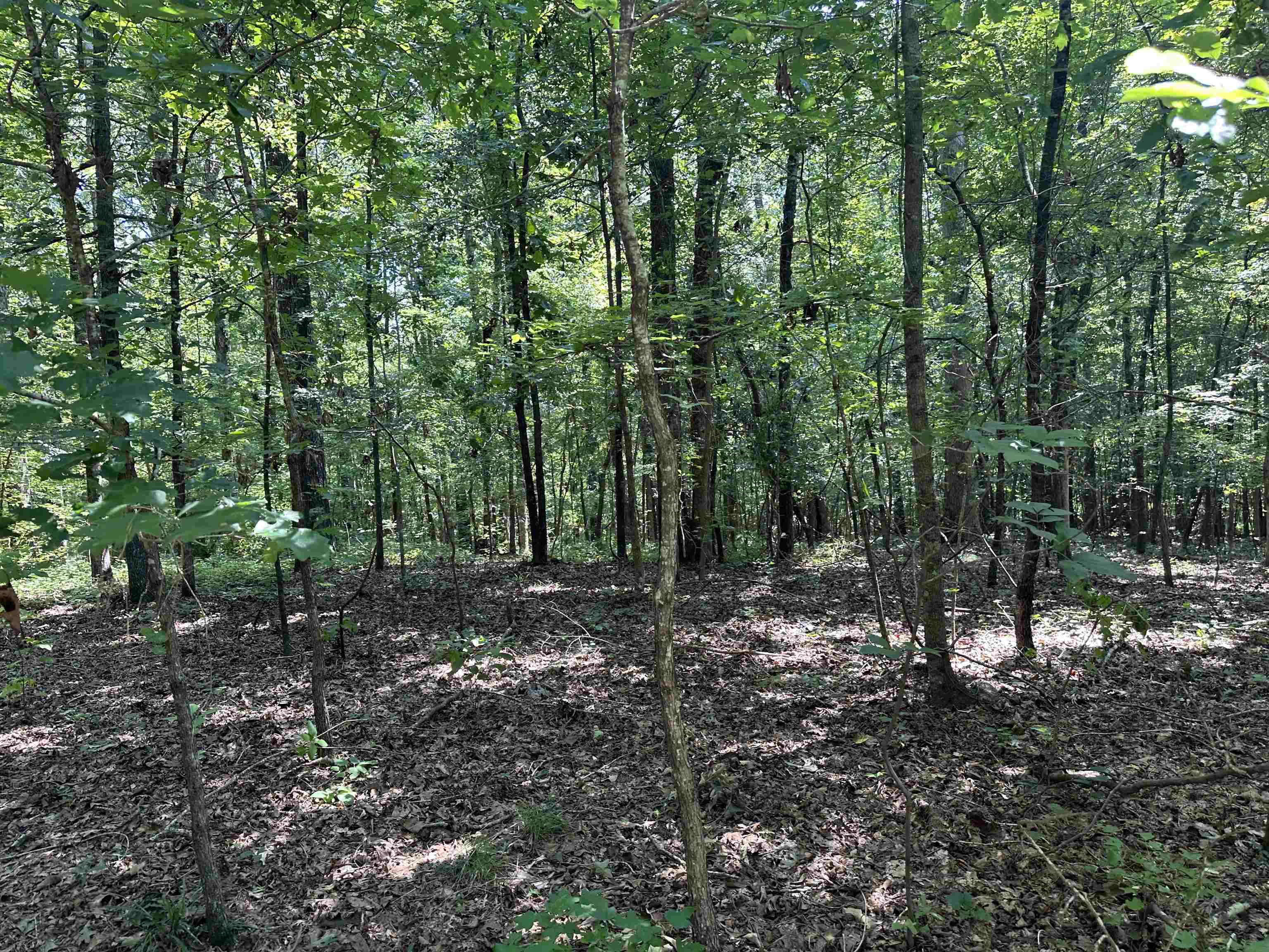 0 Phillips Road Eatonton GA 31024