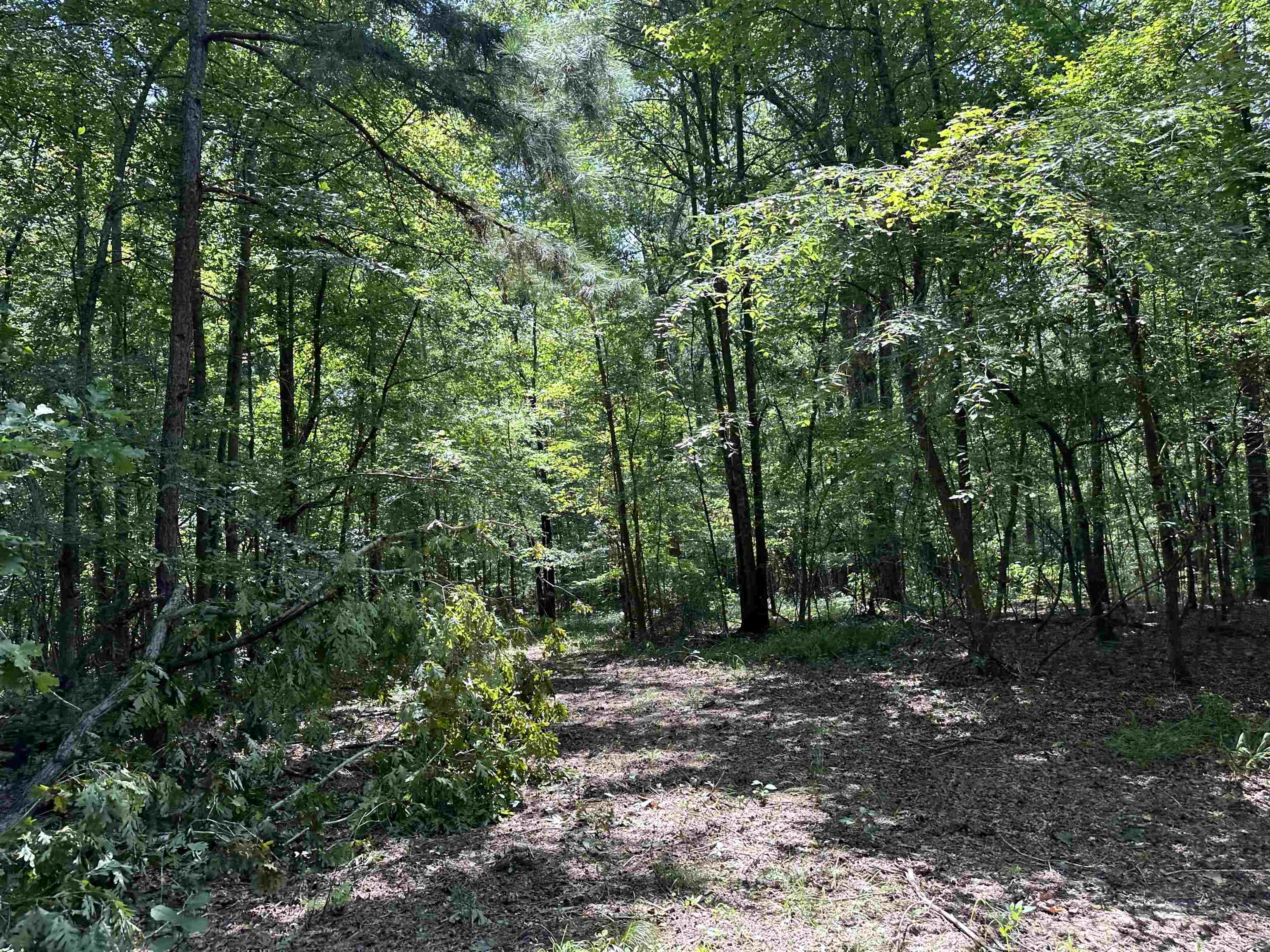 0 Phillips Road Eatonton GA 31024