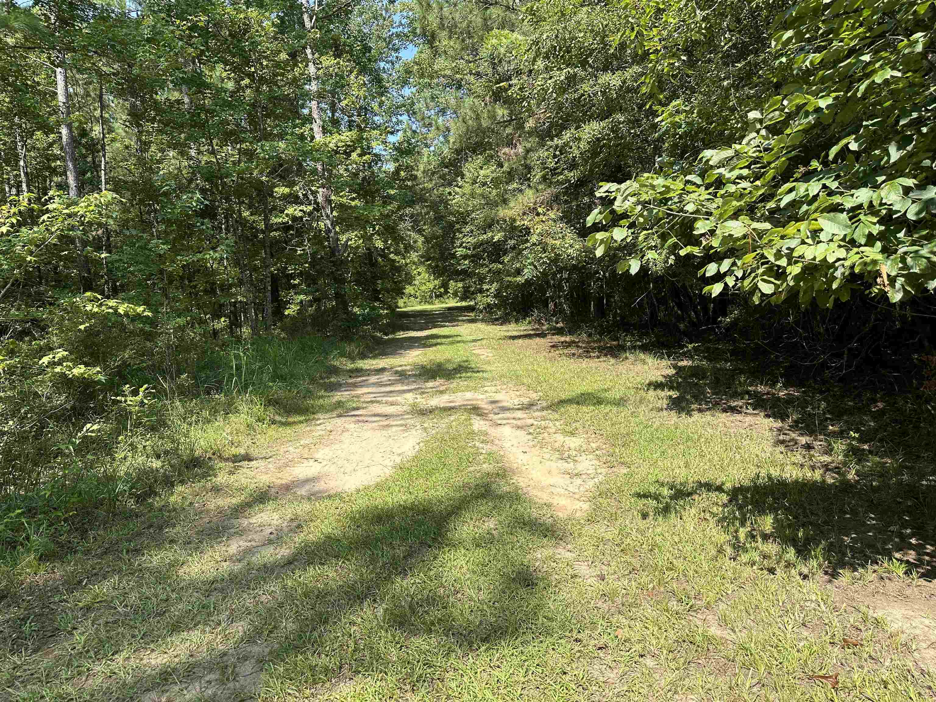 0 Phillips Road Eatonton GA 31024