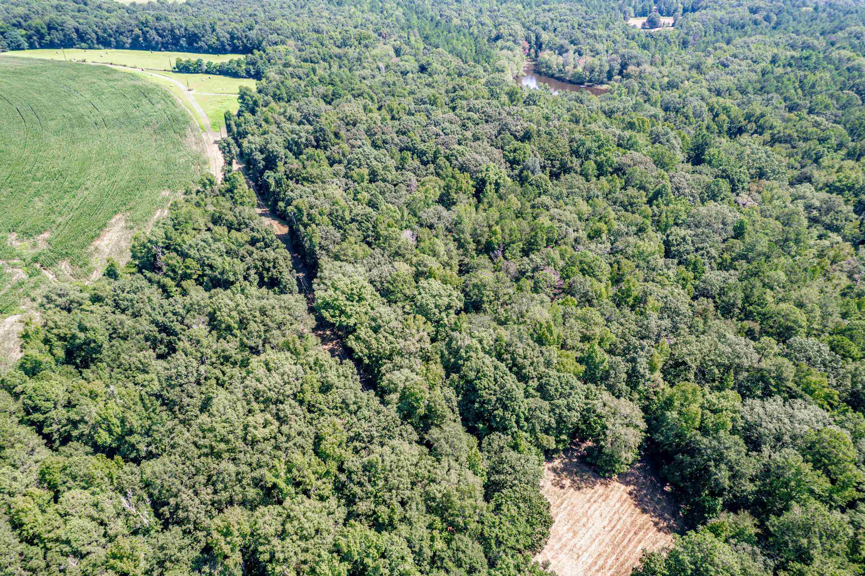 0 Phillips Road Eatonton GA 31024