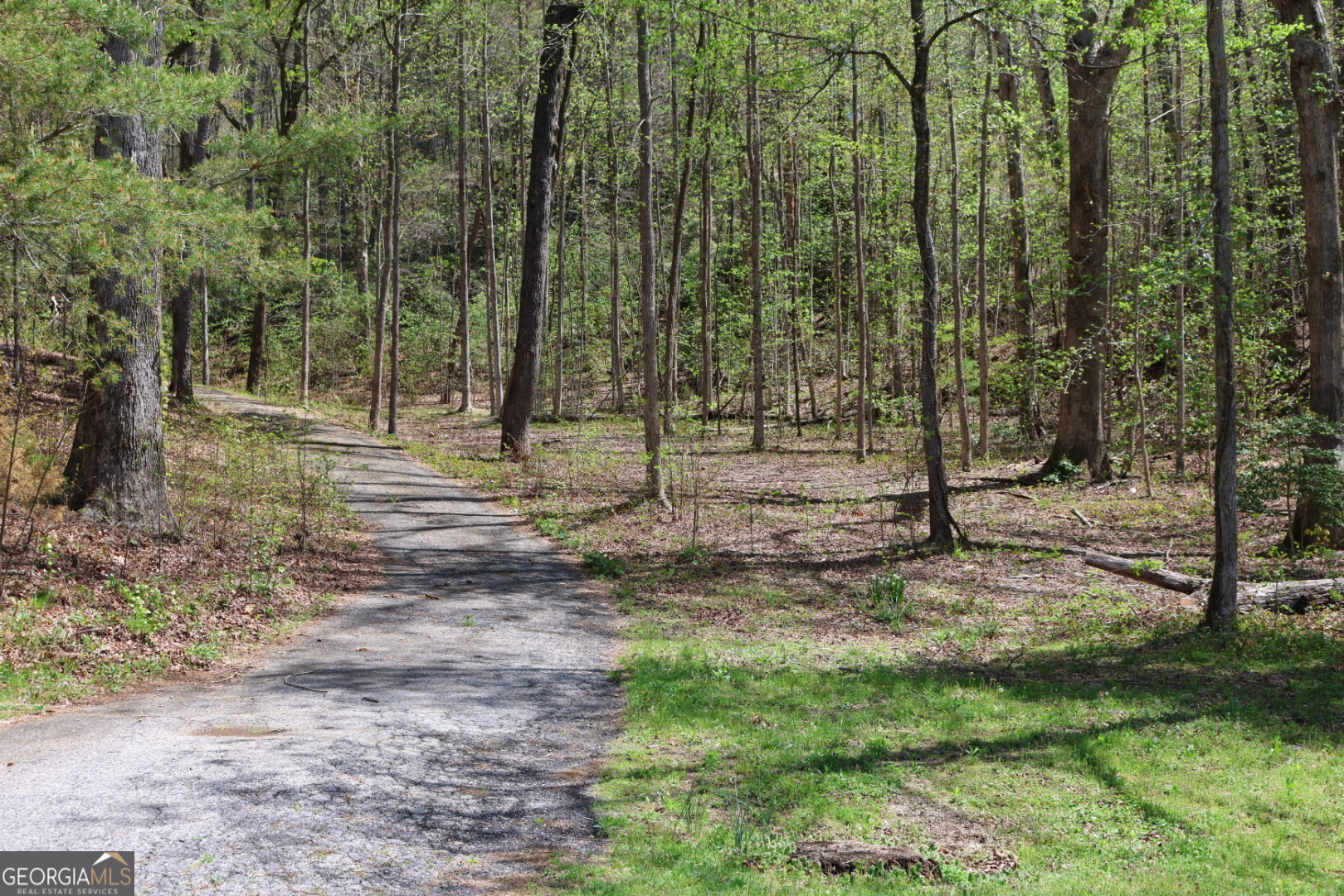 0 Chestatee Drive Cleveland GA 30528