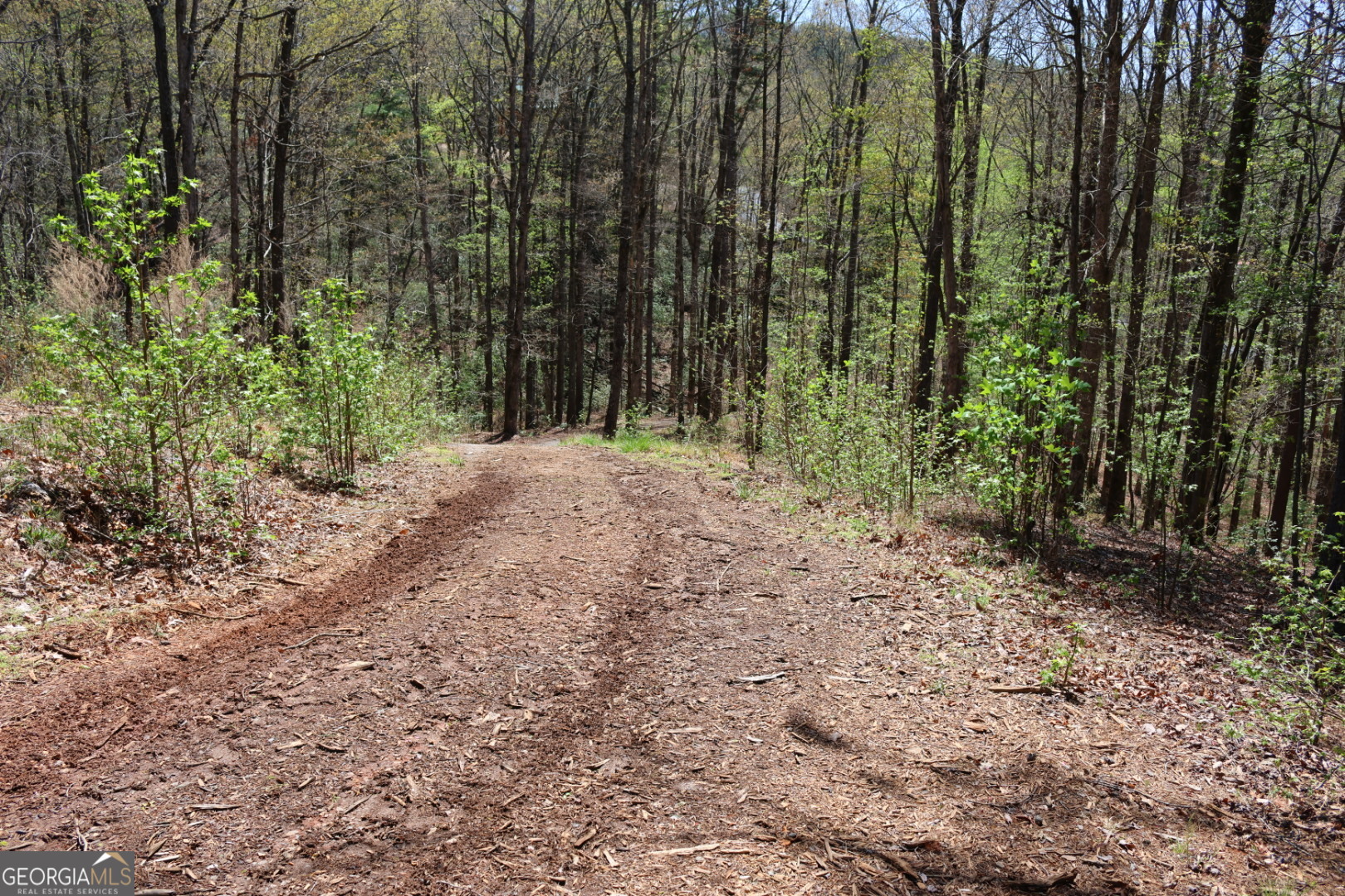 0 Chestatee Drive Cleveland GA 30528