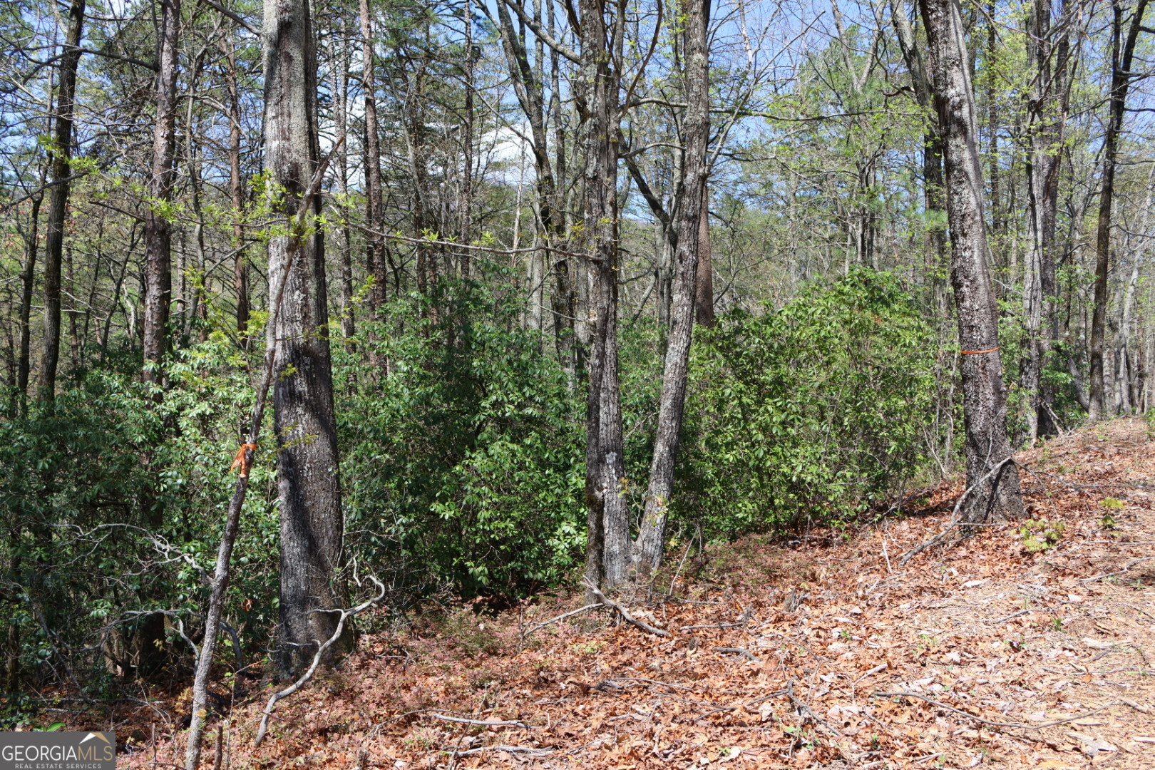 0 Chestatee Drive Cleveland GA 30528