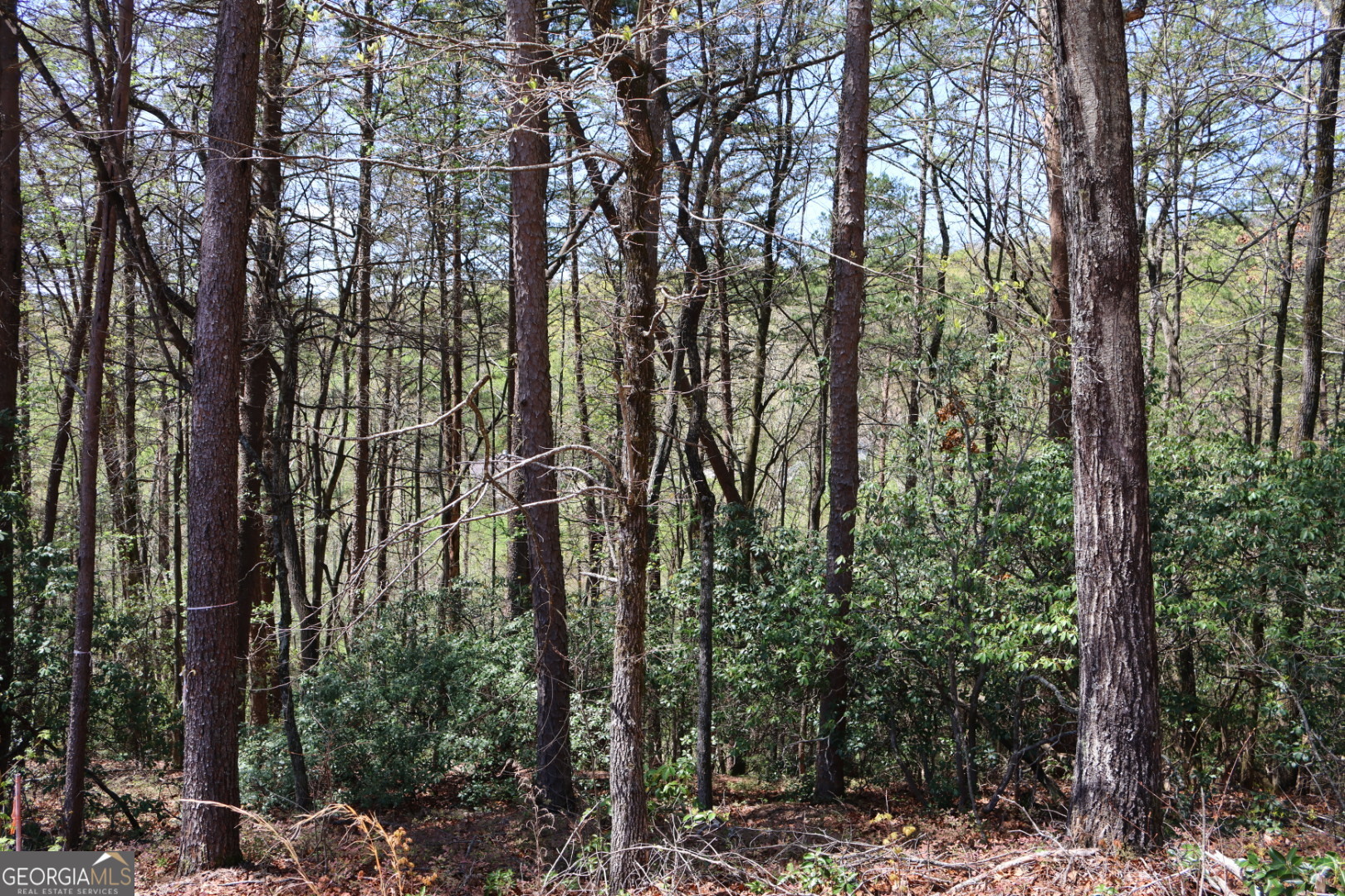 0 Chestatee Drive Cleveland GA 30528