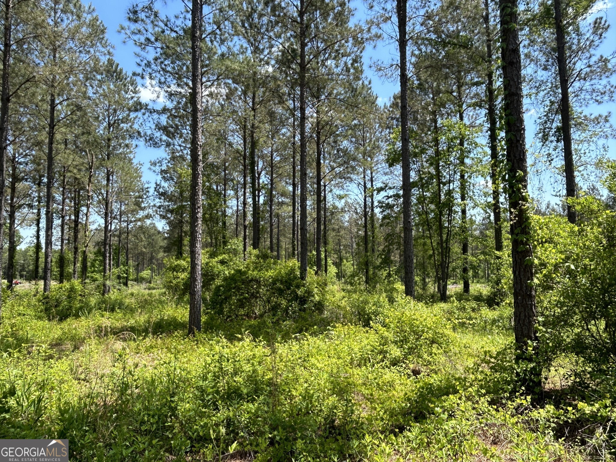 0 Springhaven Road Dexter GA 31019