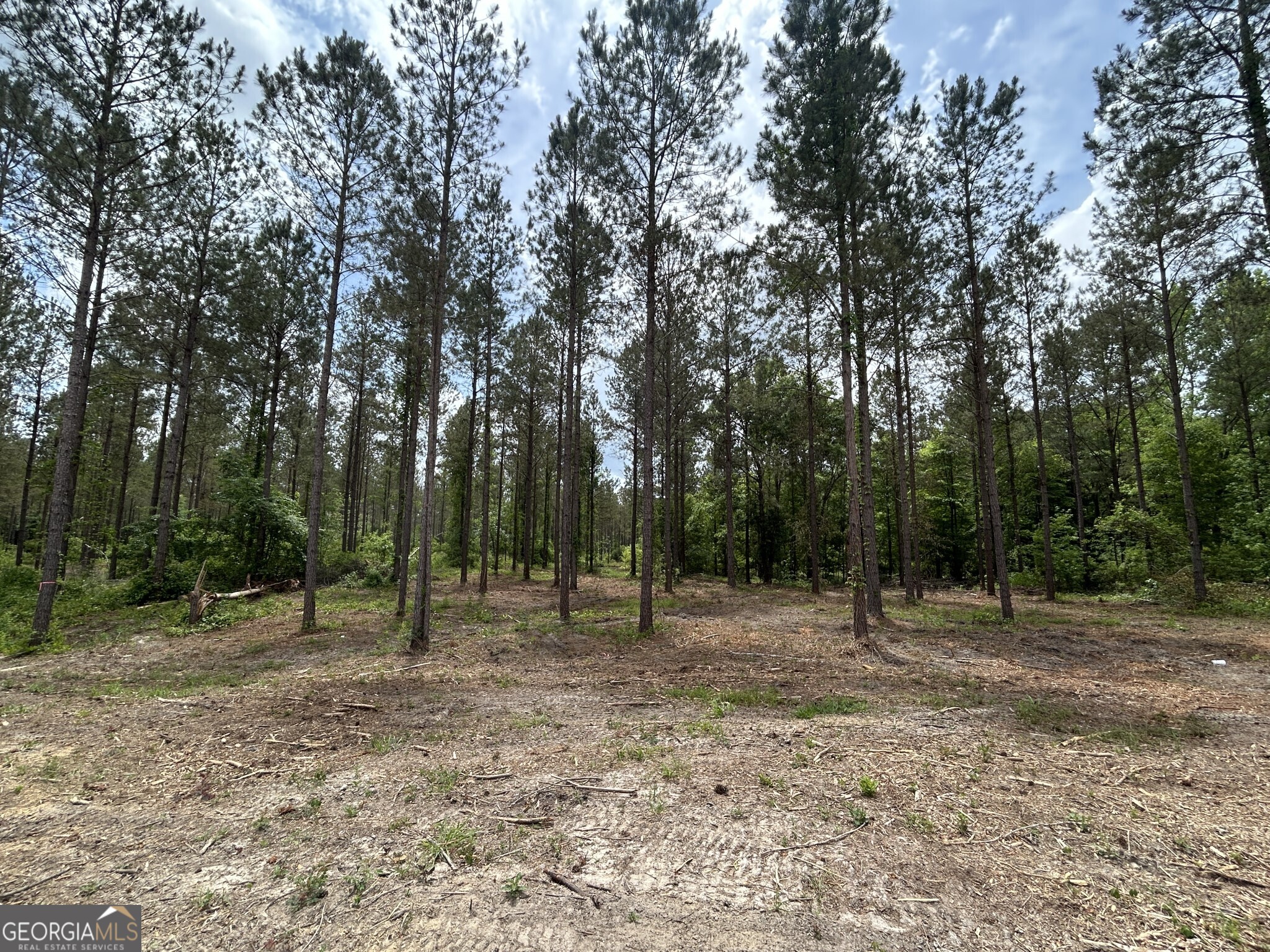 0 Springhaven Road Dexter GA 31019