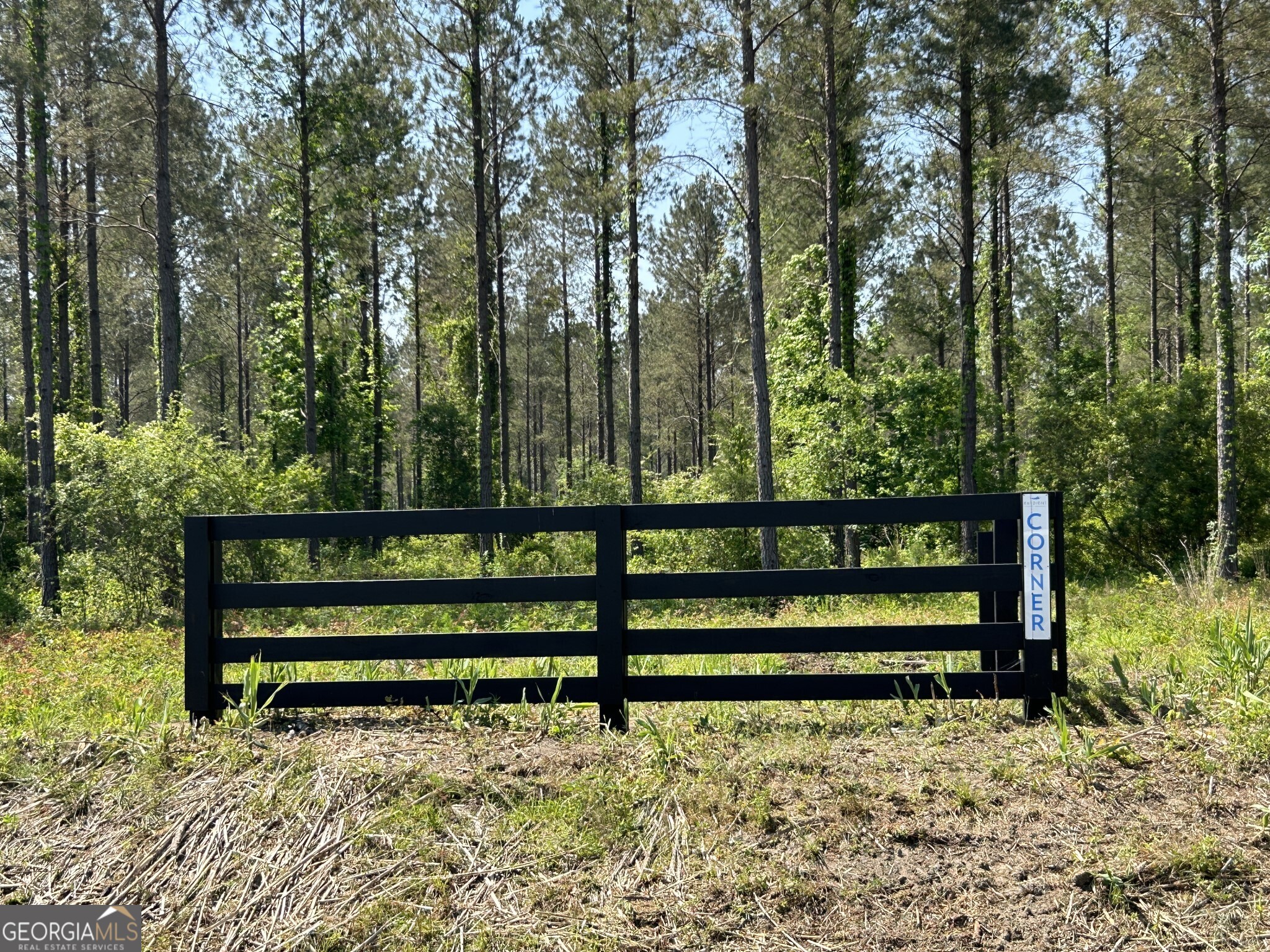 0 Springhaven Road Dexter GA 31019