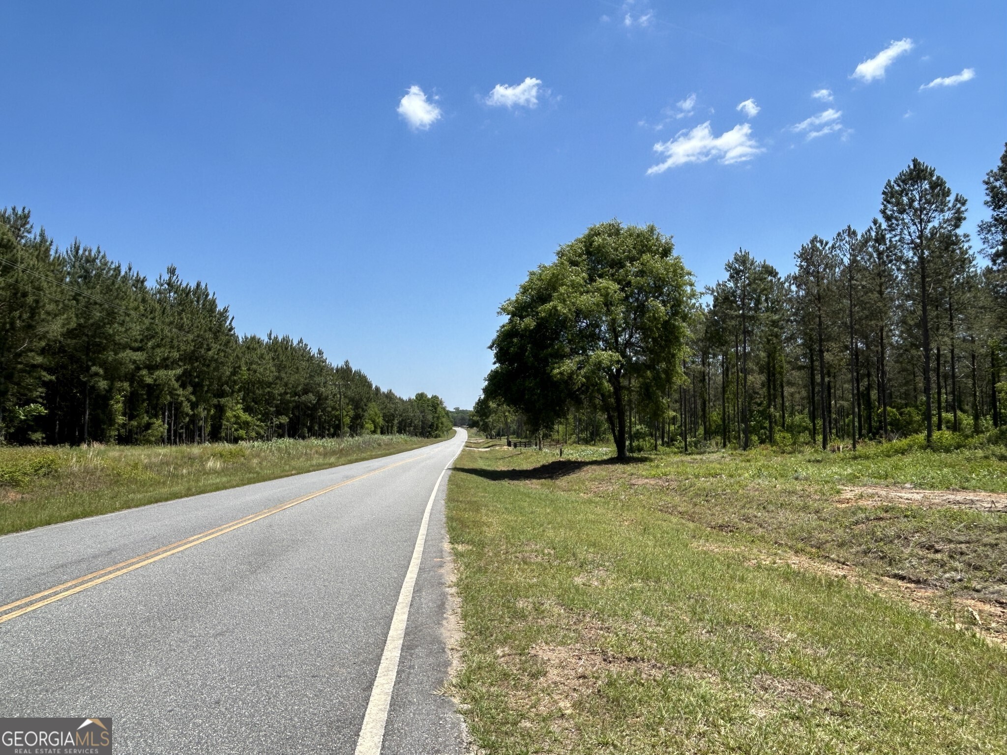 0 Springhaven Road Dexter GA 31019