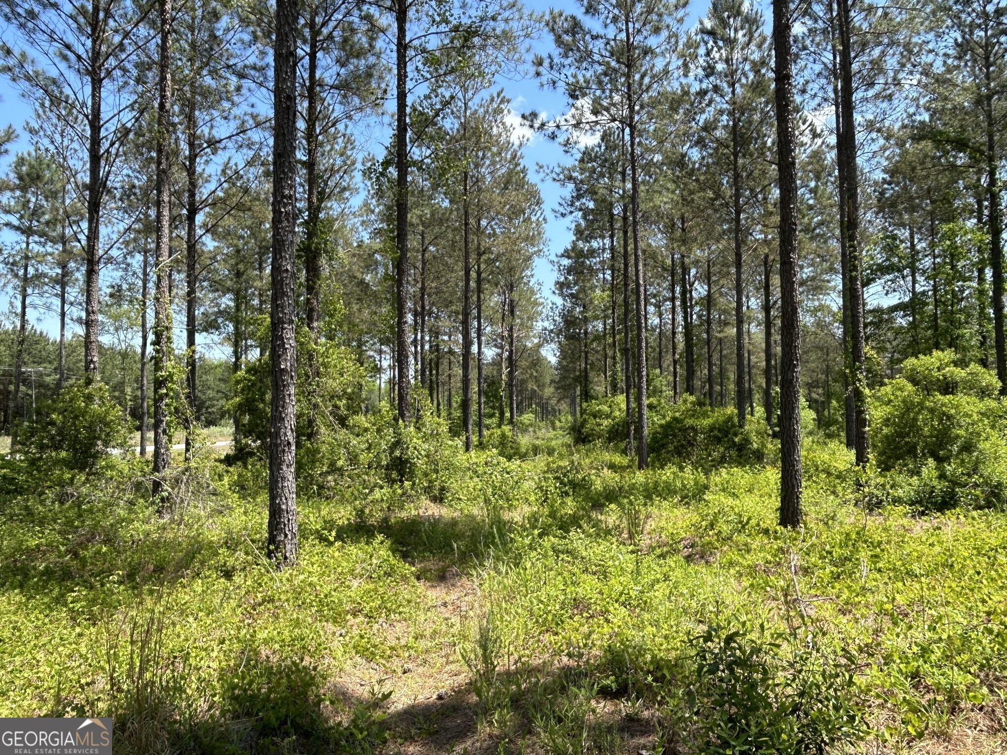 0 Springhaven Road Dexter GA 31019
