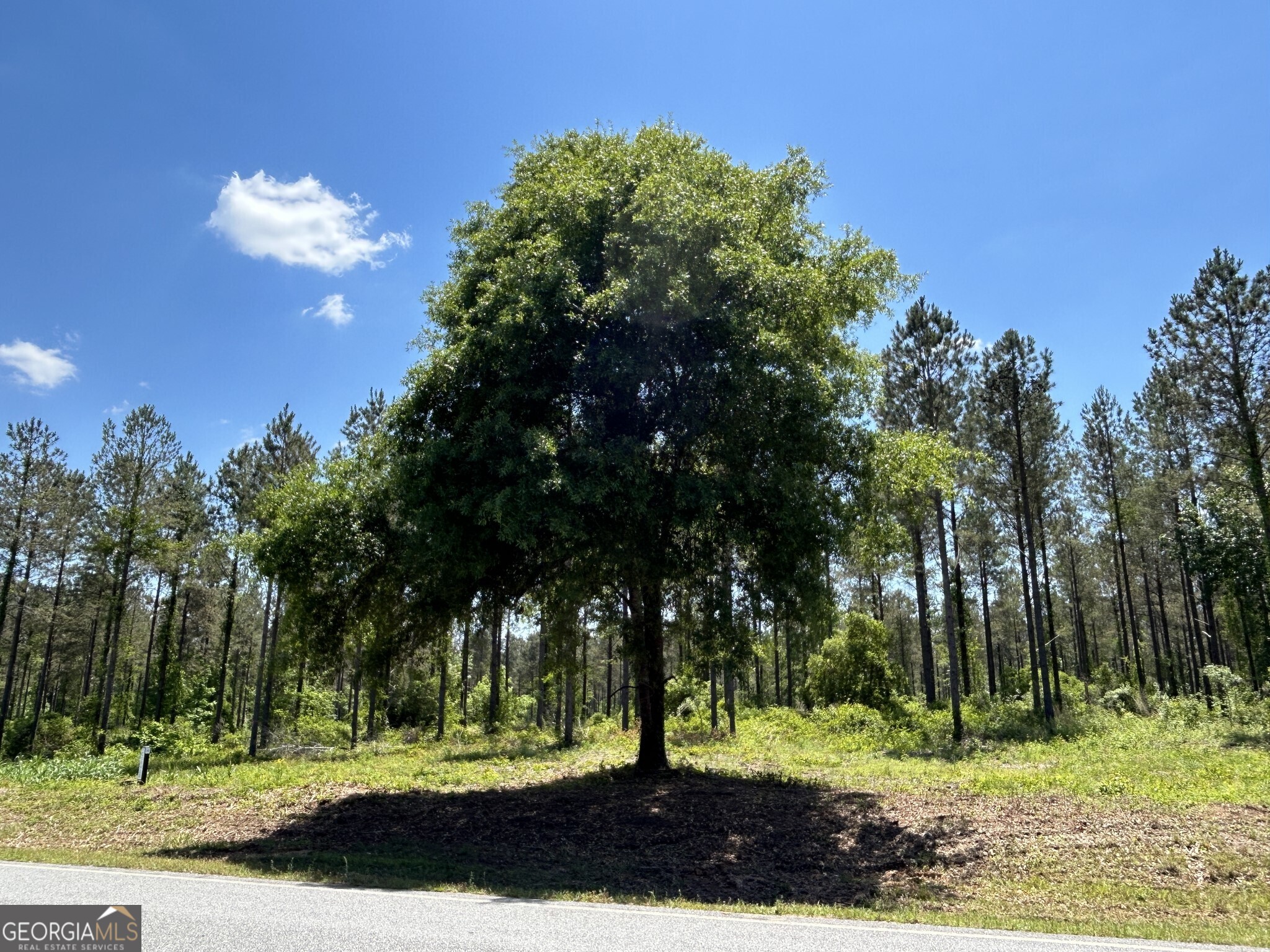 0 Springhaven Road Dexter GA 31019