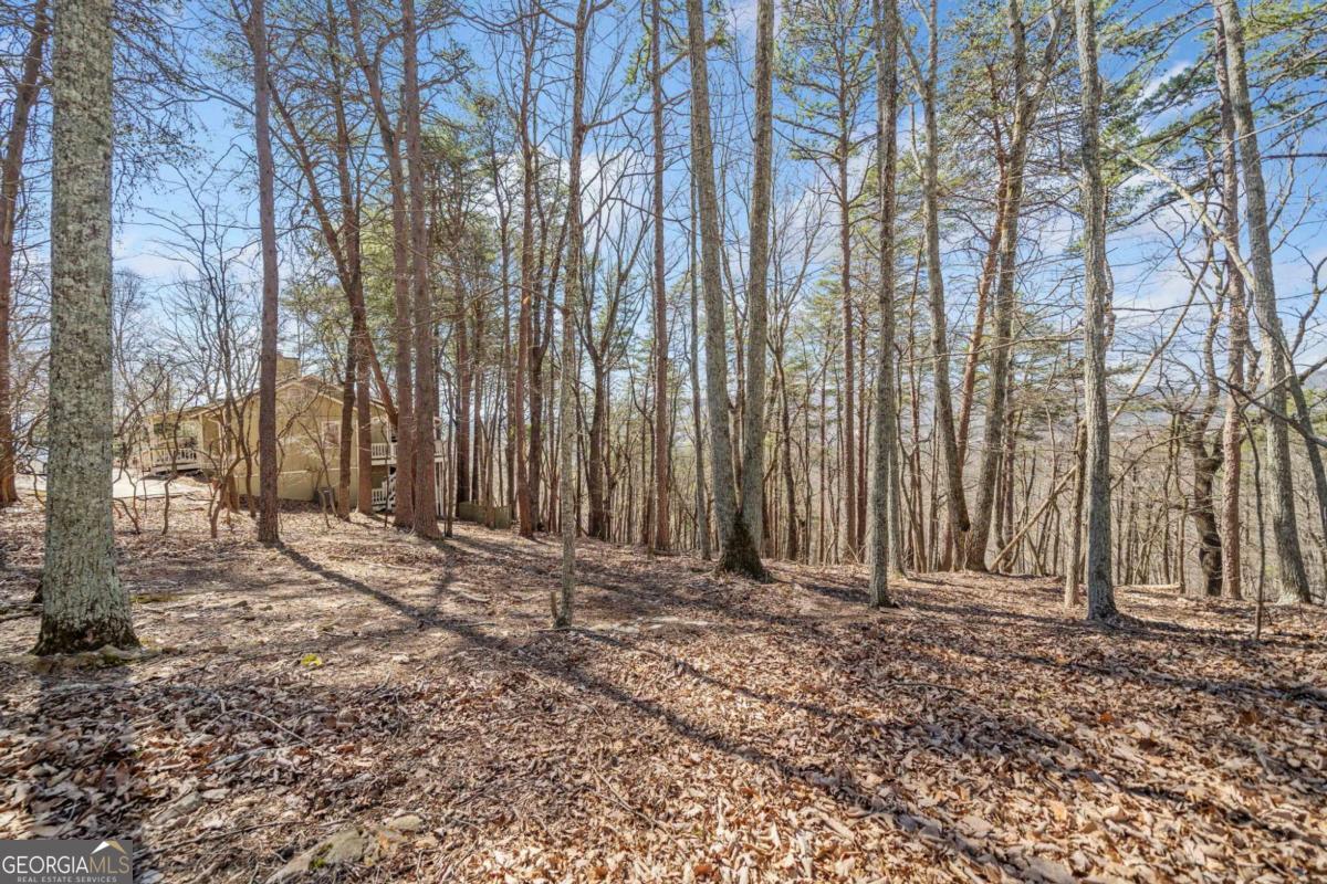 166 Ponderosa Lane Waleska GA 30183