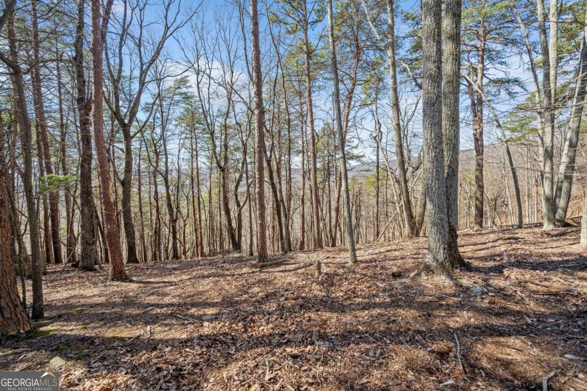 166 Ponderosa Lane Waleska GA 30183