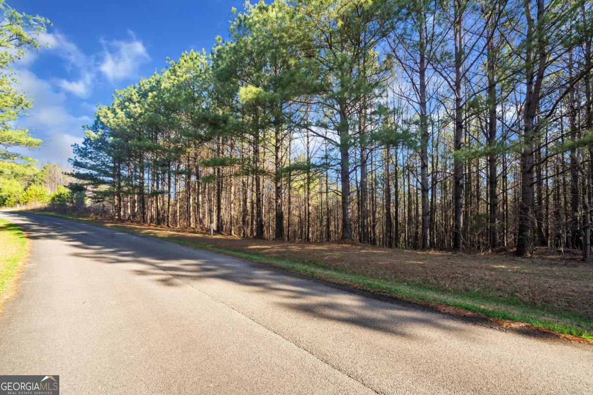 0 Foxpaw Leaf Lane Ellijay GA 30536