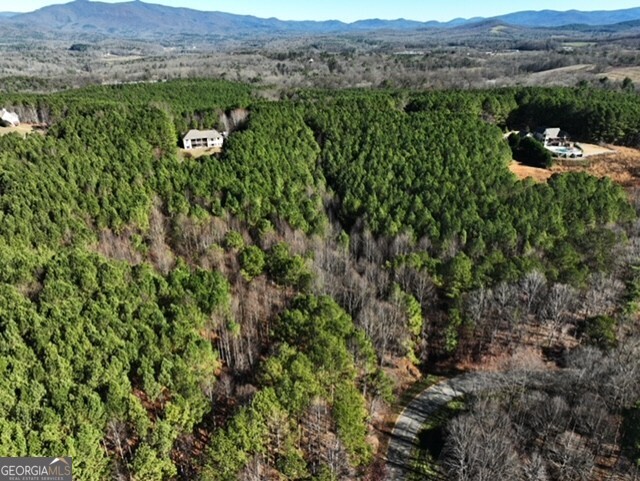 0 Foxpaw Leaf Lane Ellijay GA 30536