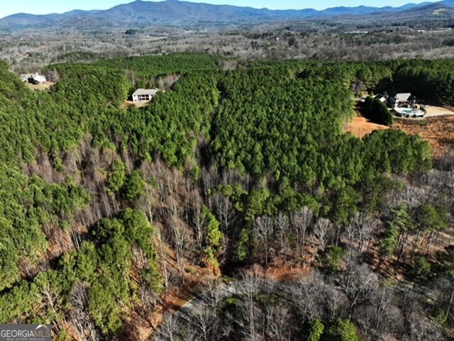 0 Foxpaw Leaf Lane Ellijay GA 30536