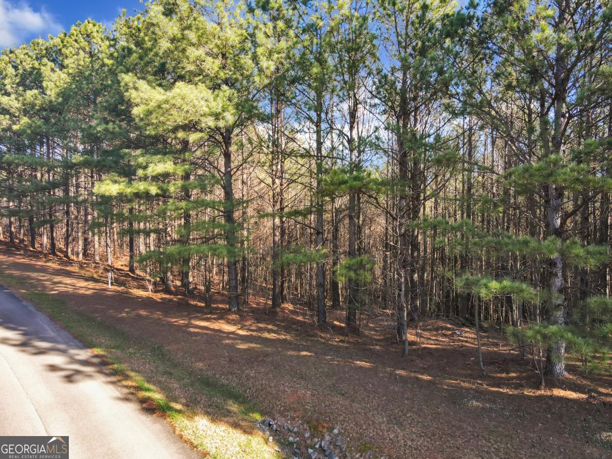 0 Foxpaw Leaf Lane Ellijay GA 30536
