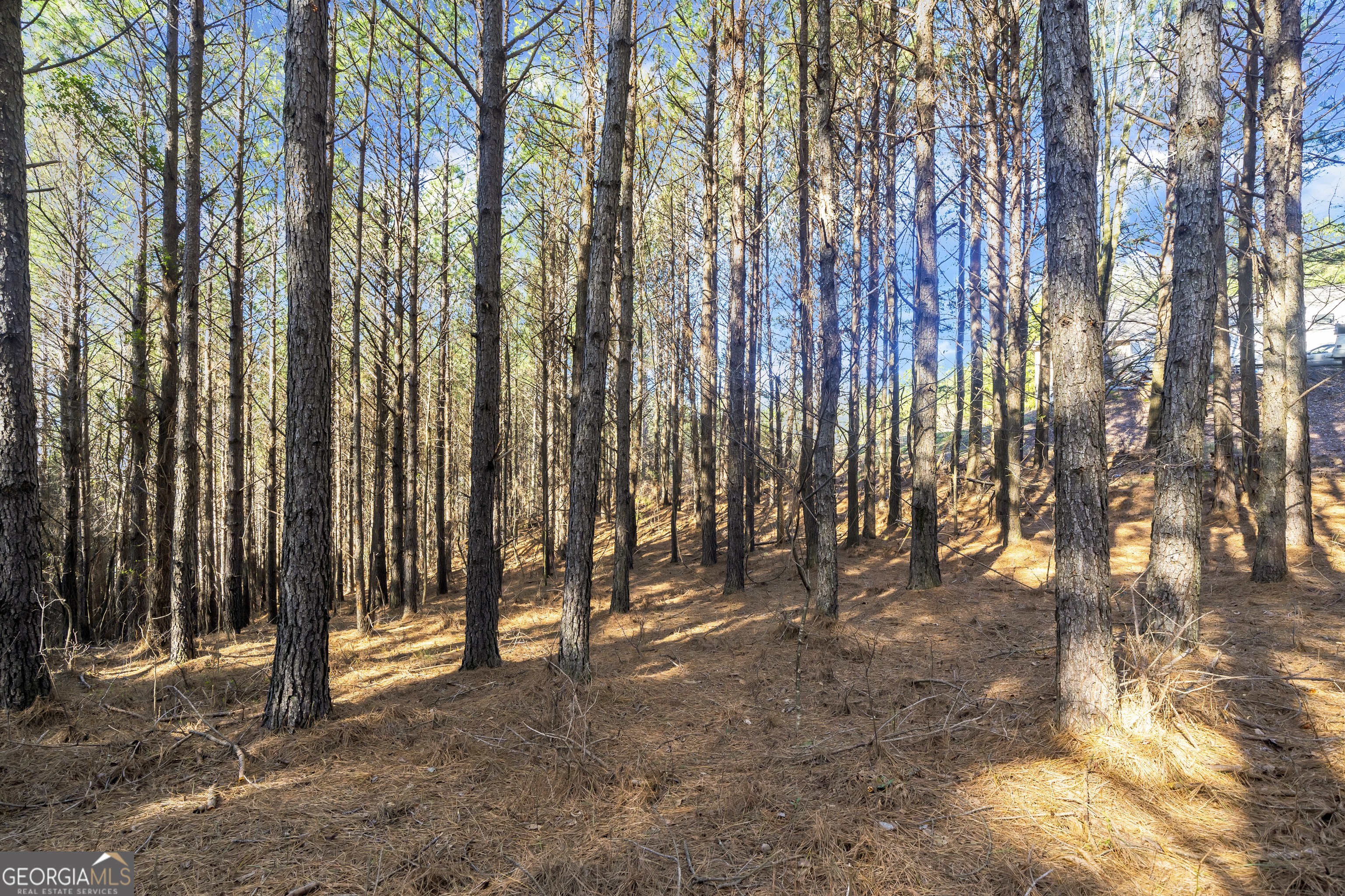 0 Foxpaw Leaf Lane Ellijay GA 30536
