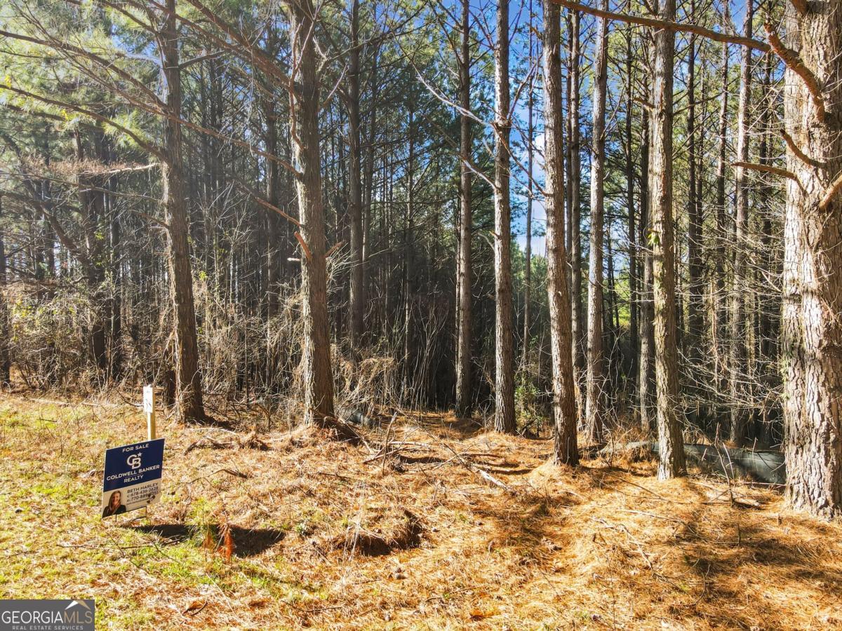 0 Foxpaw Leaf Lane Ellijay GA 30536