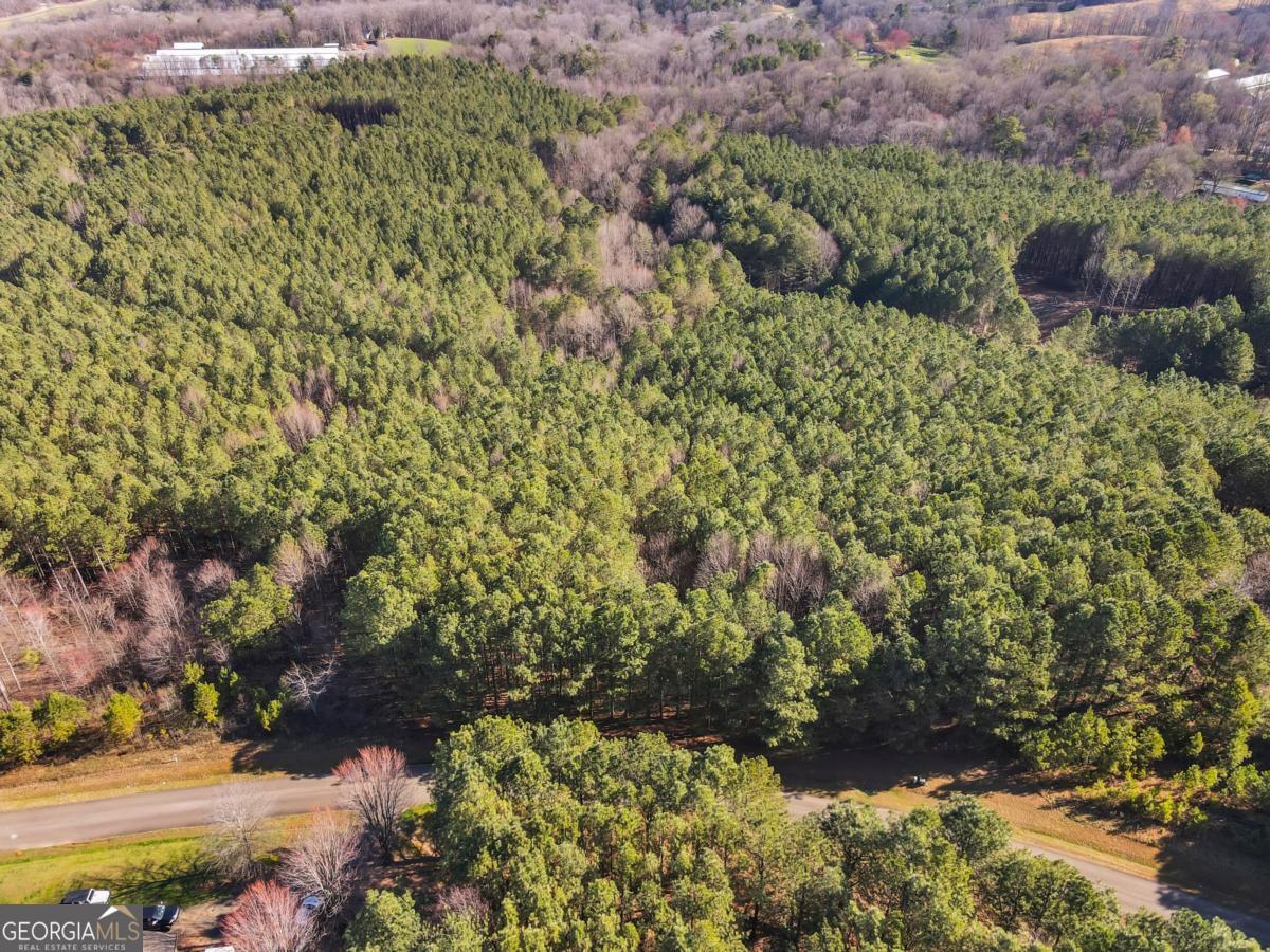 0 Foxpaw Leaf Lane Ellijay GA 30536
